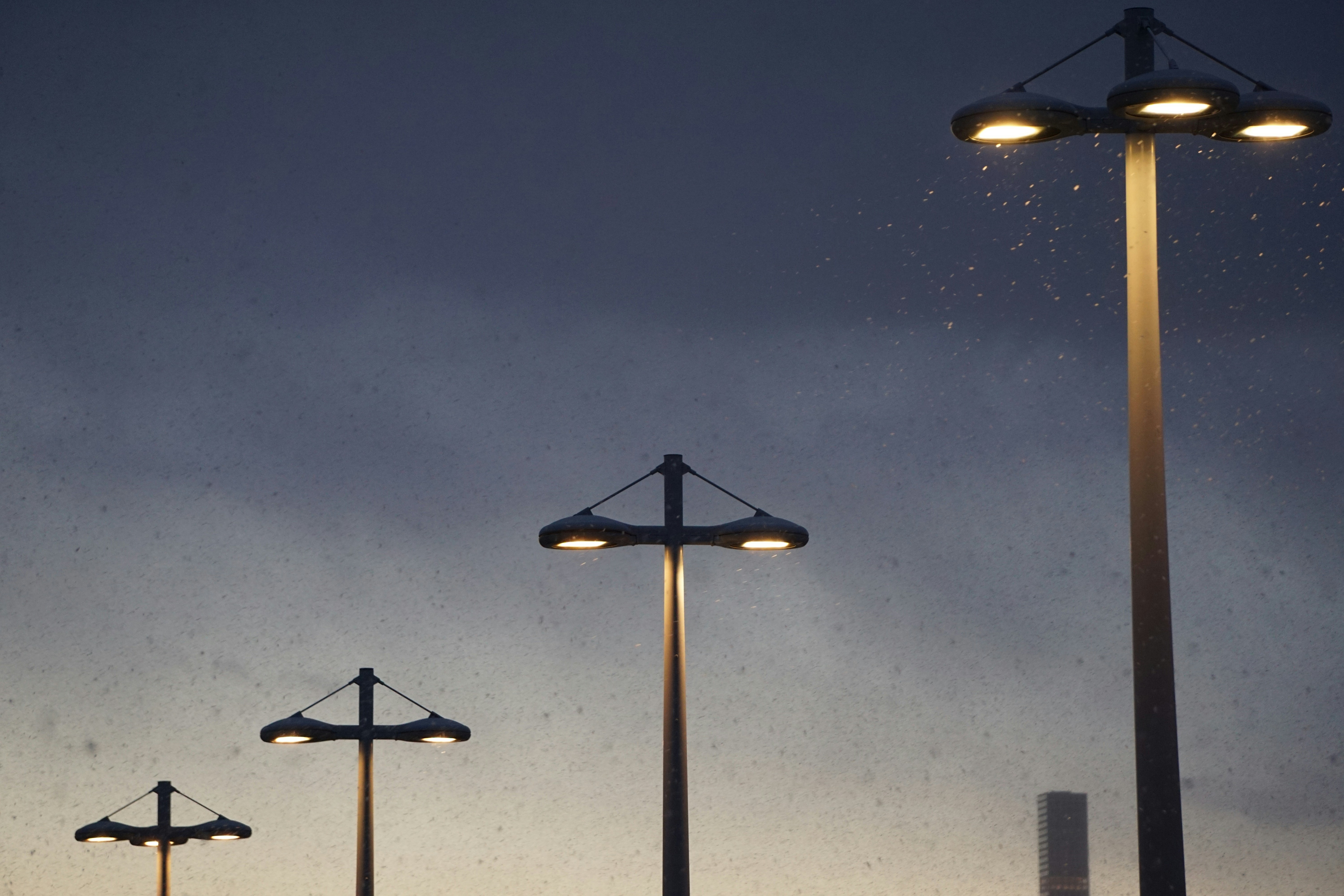 Snowy Dusk Street Lamps