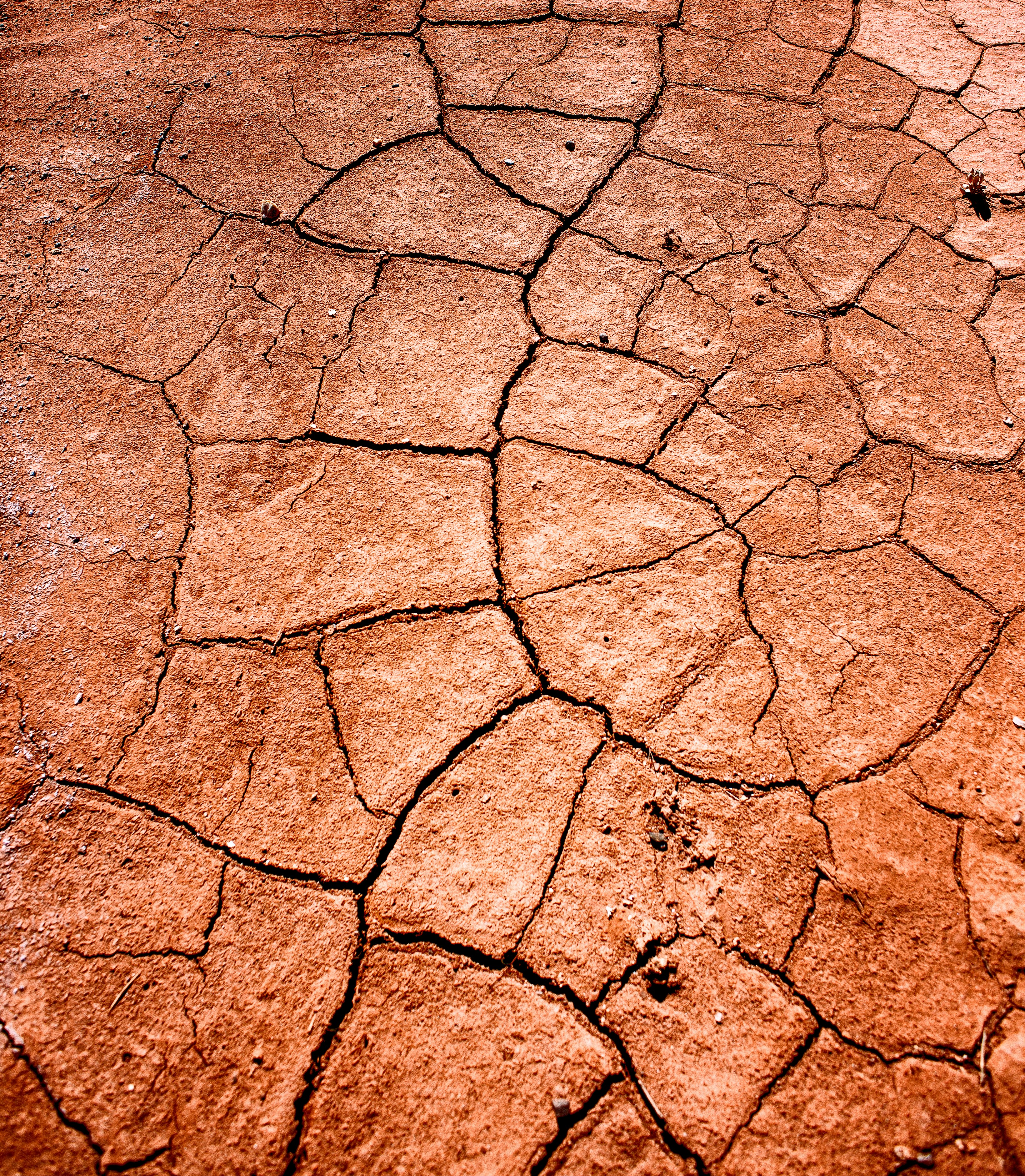 Cracked Dry Red Earth