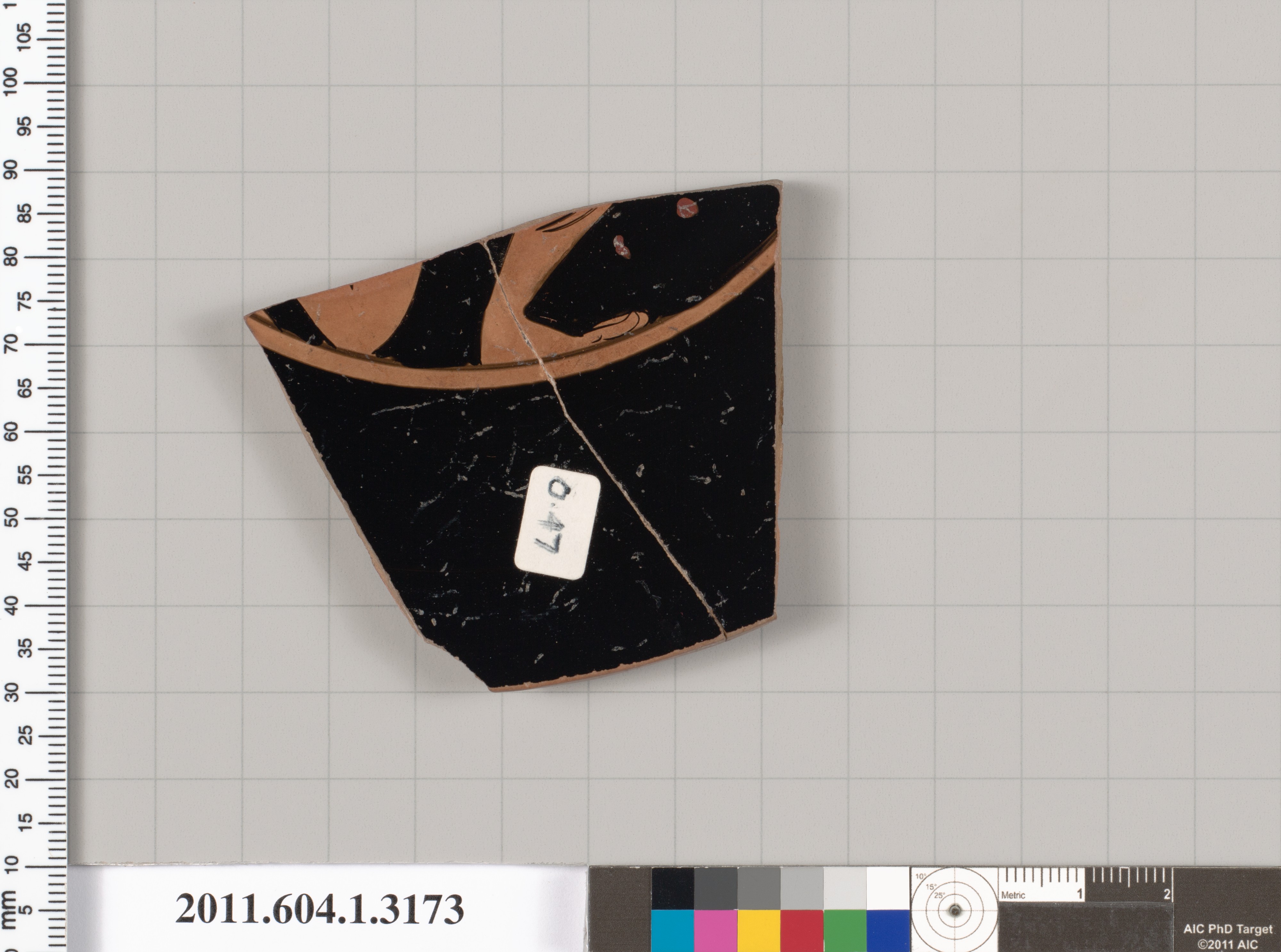 Ancient Pottery Fragment