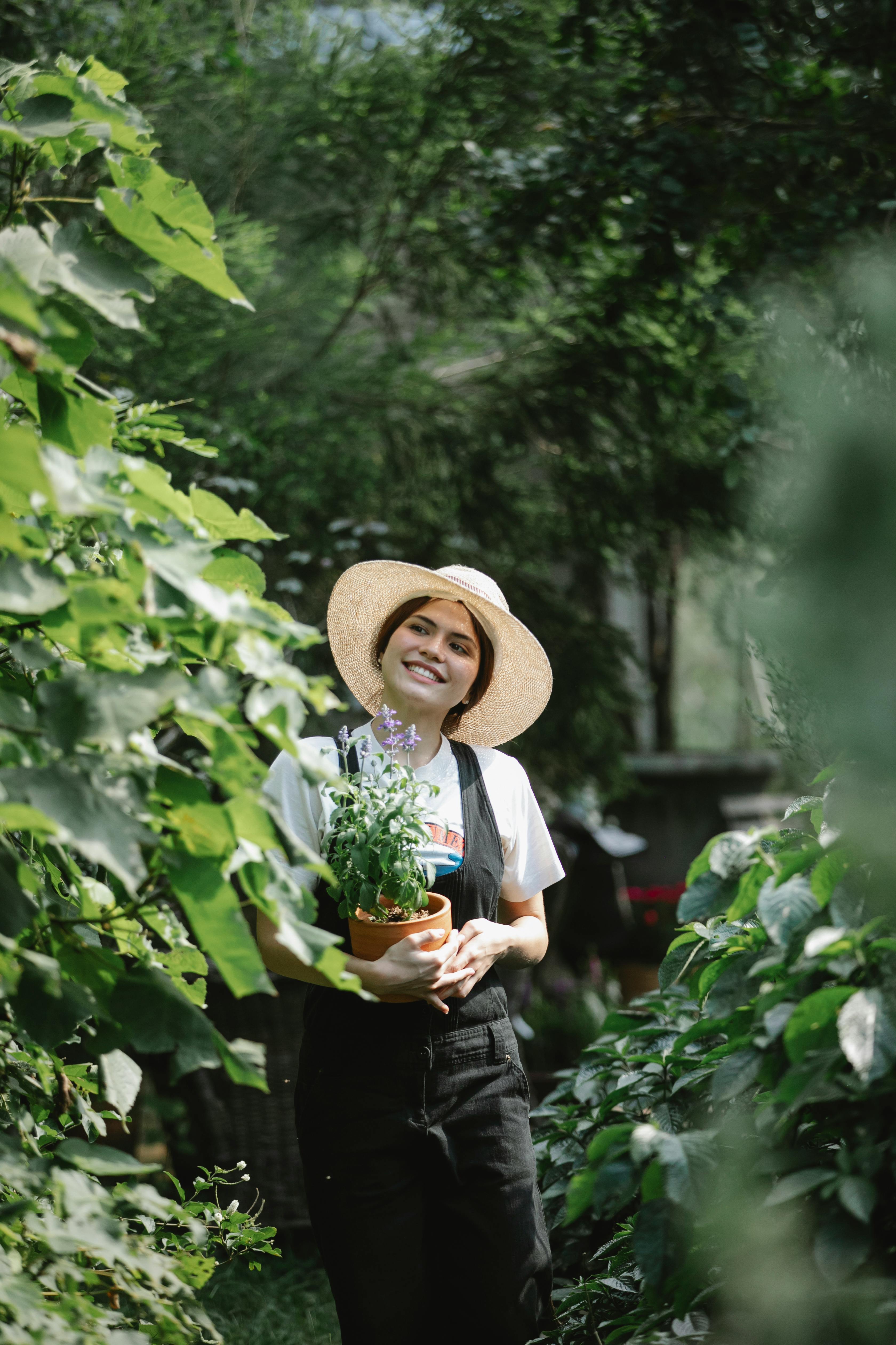 Forest & Flora