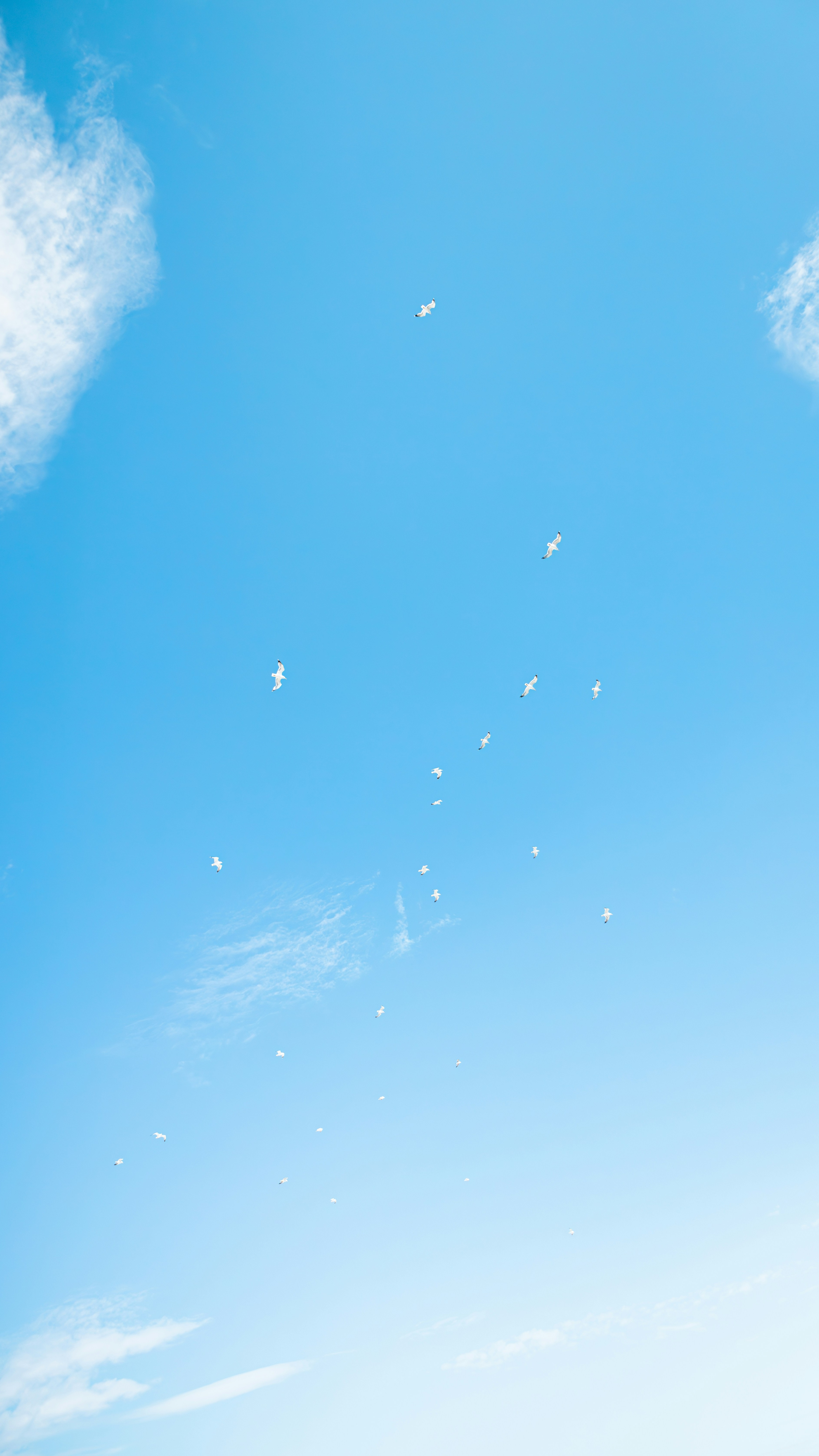 Sky Series