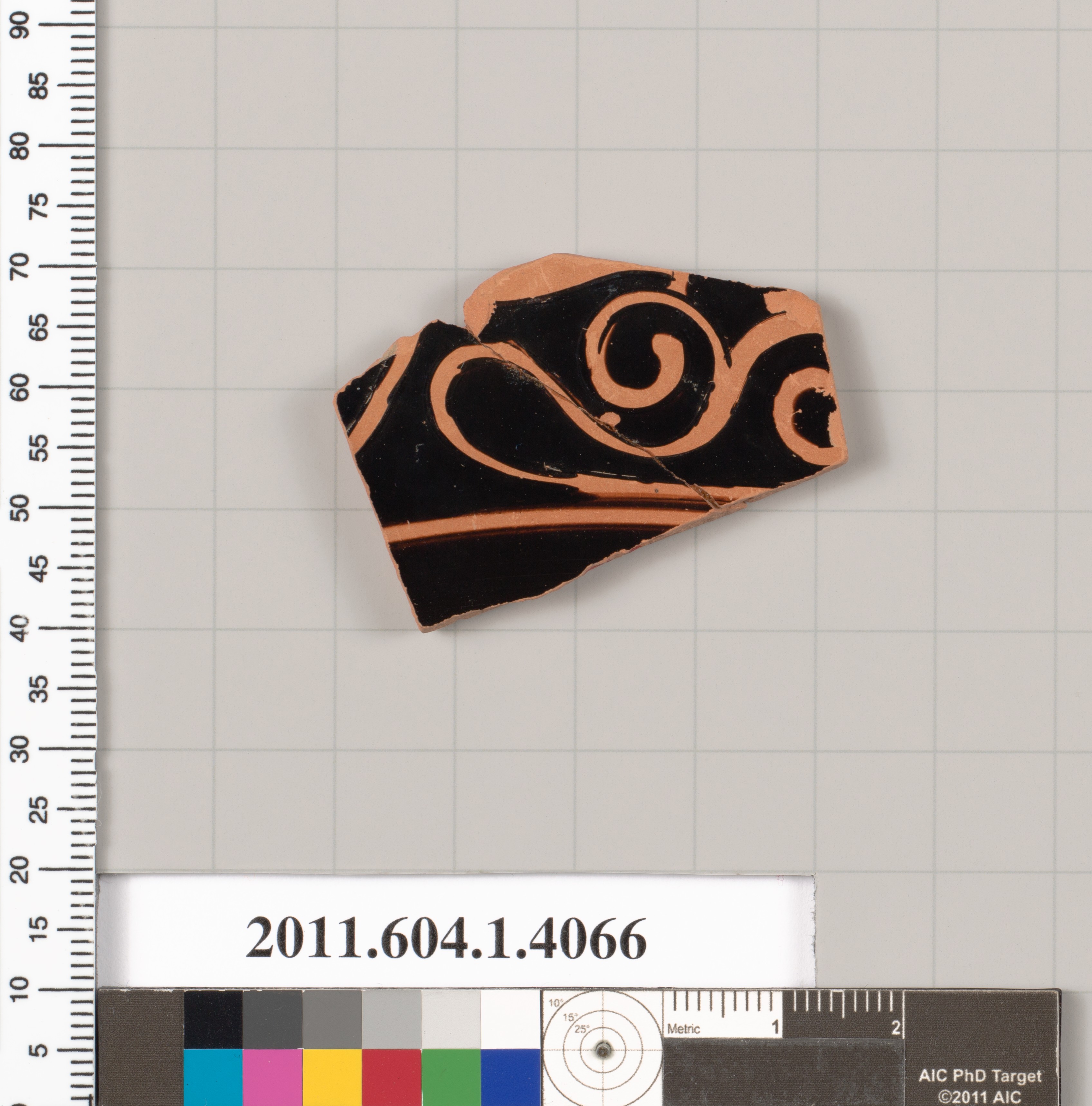 Ancient Terracotta Pottery Fragment