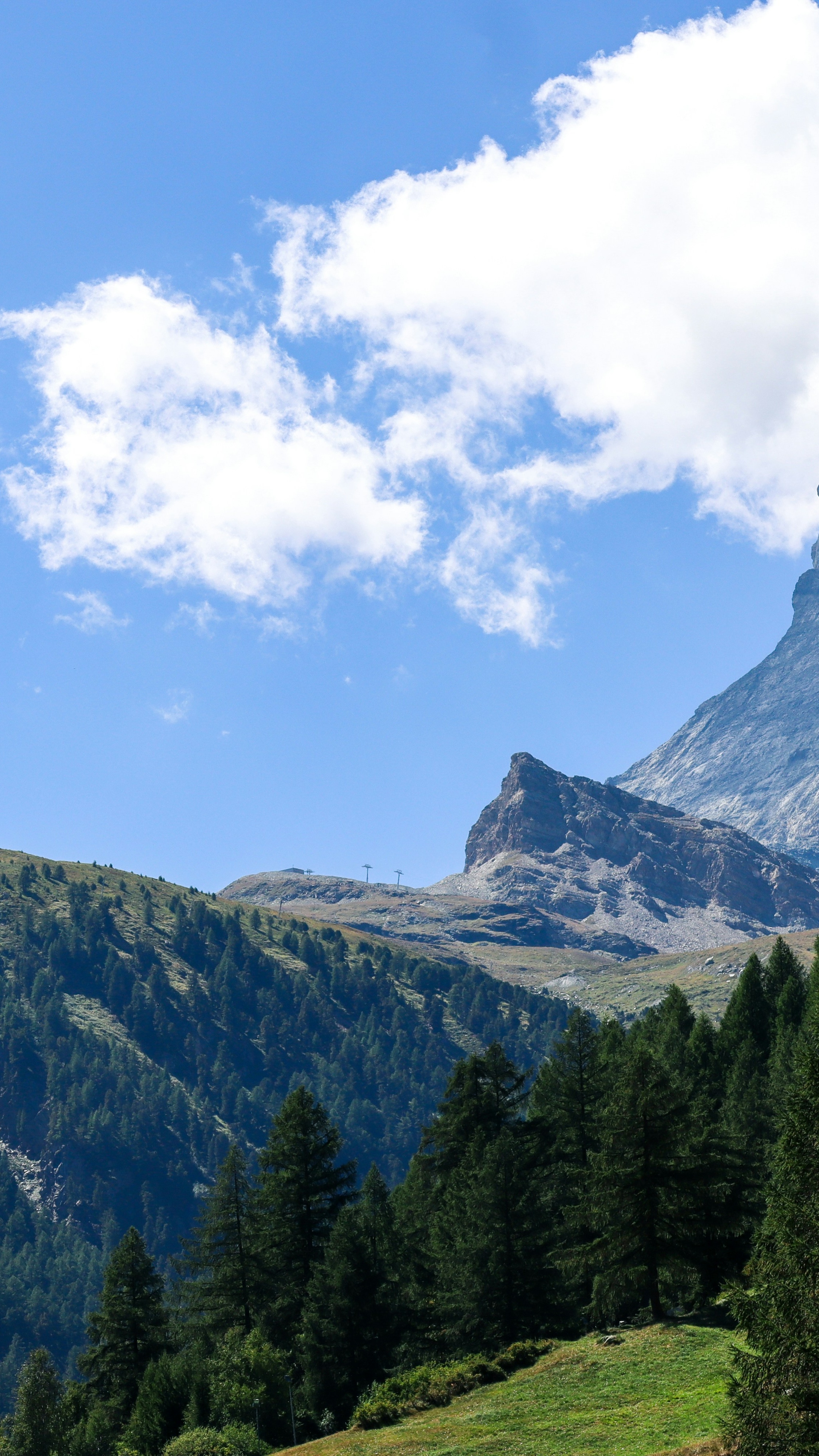 Alpine Mountain Forest Landscape