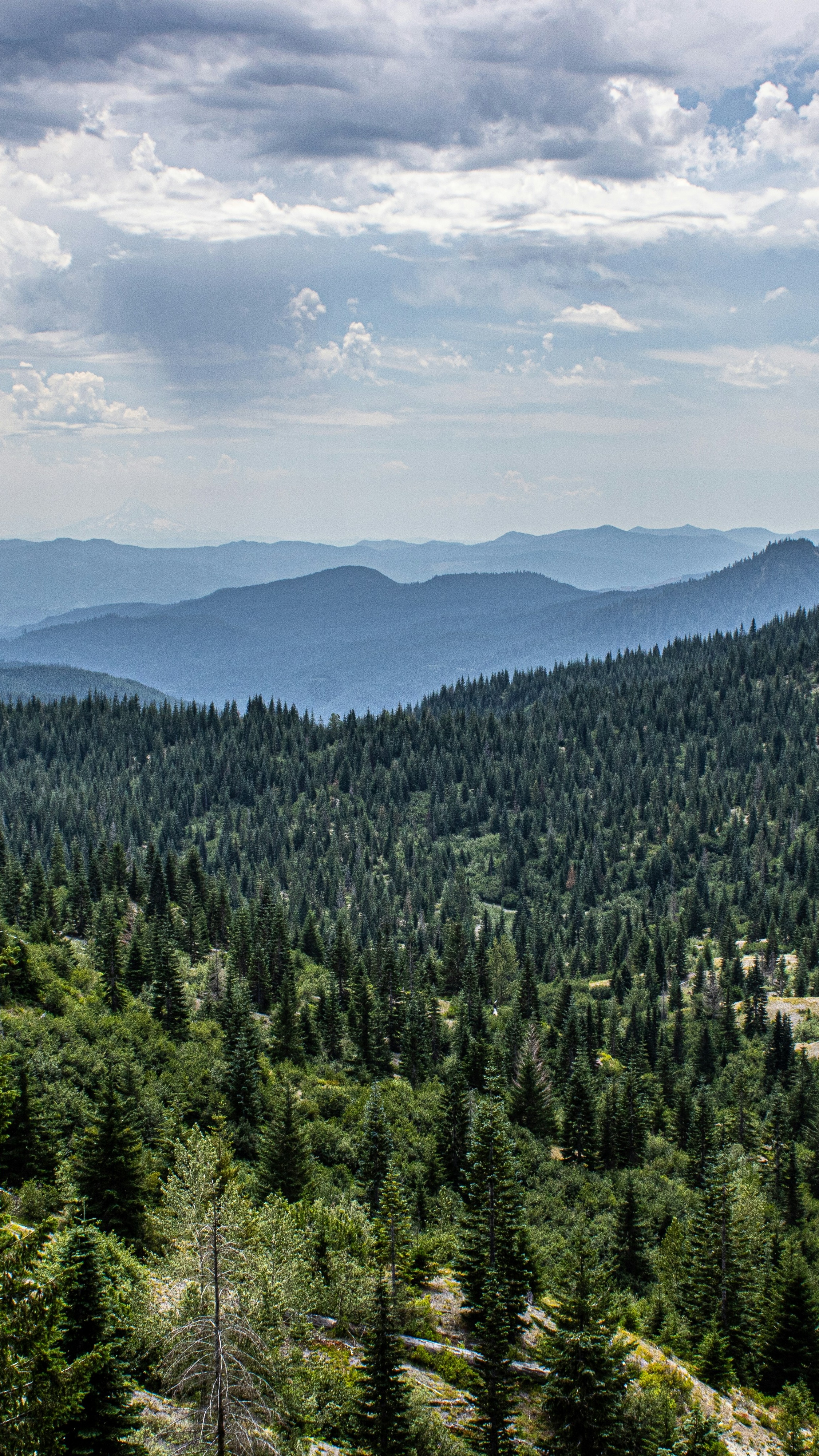Landscapes
