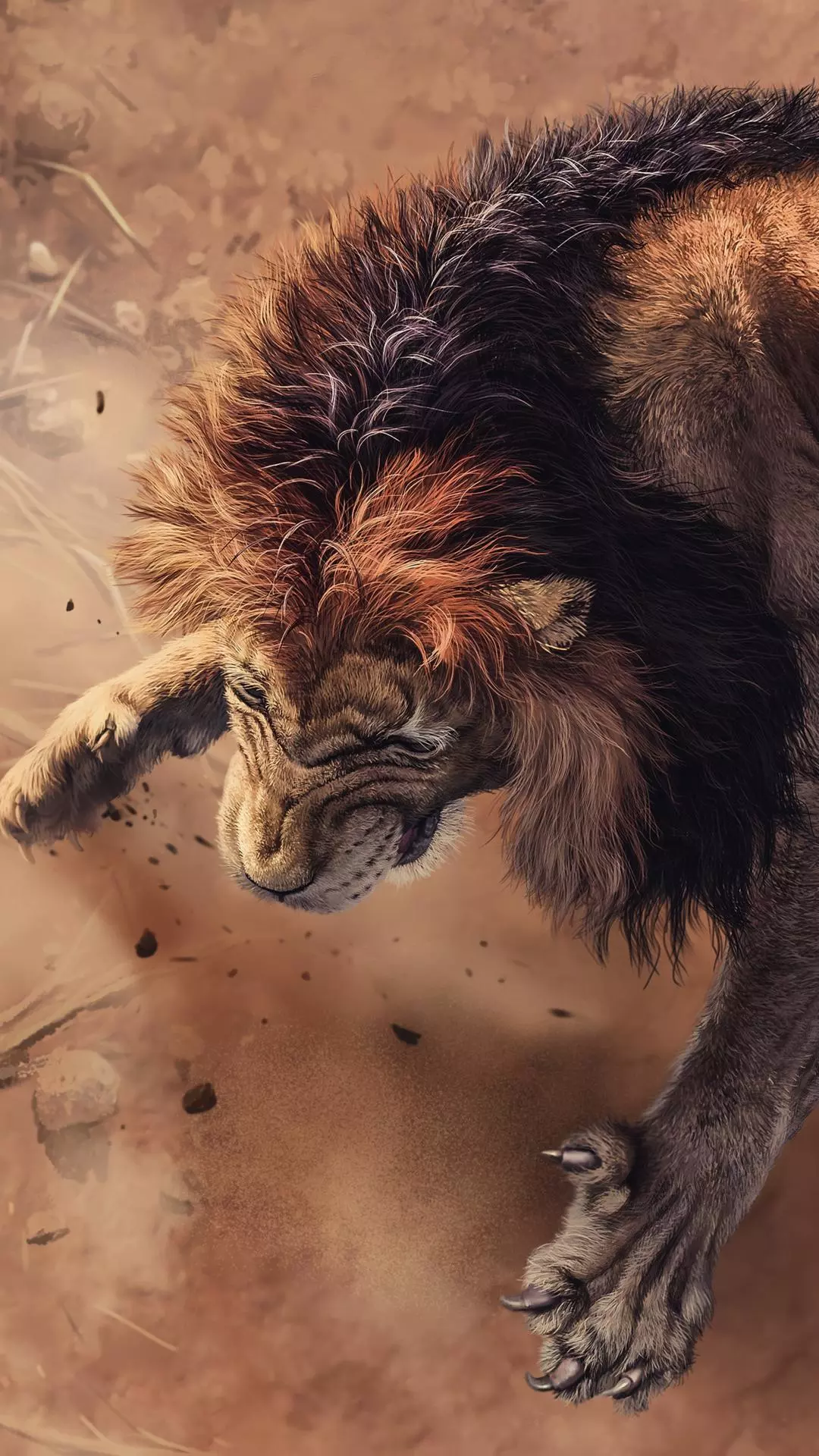 Wallpapers