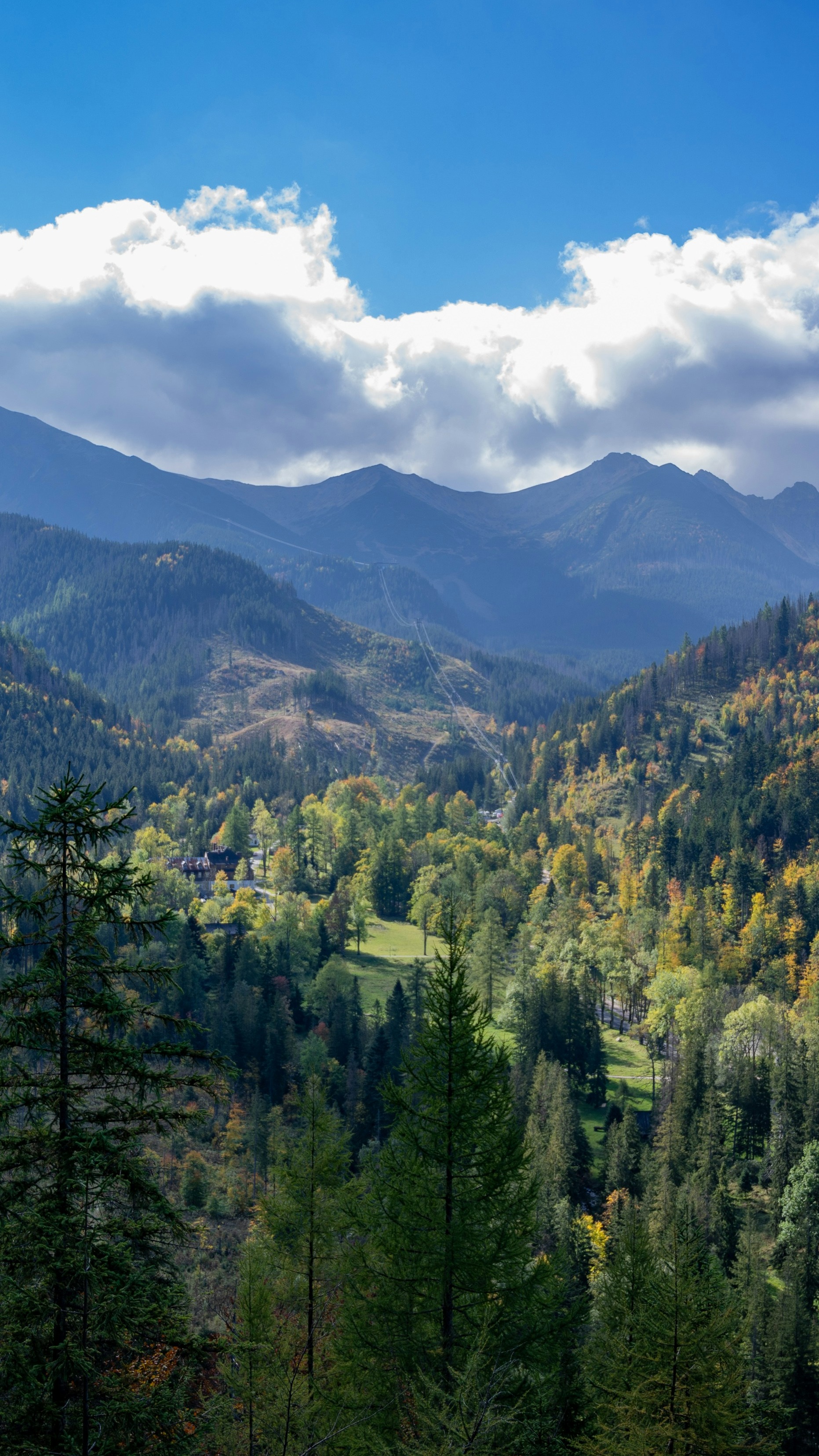 Autumn Mountain Valley Forest Landscape