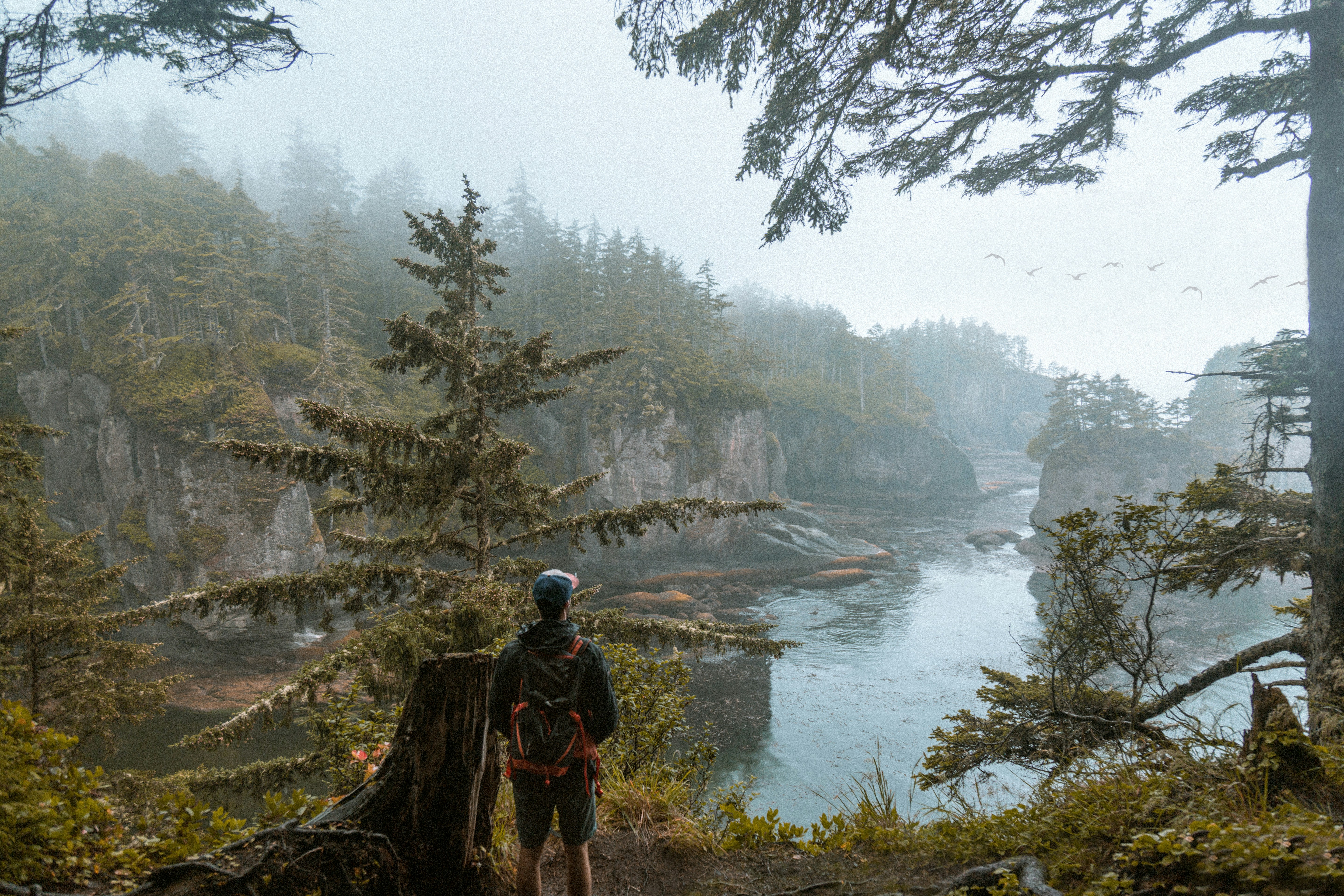 Hiker Overlooks Foggy Coastal Inlet