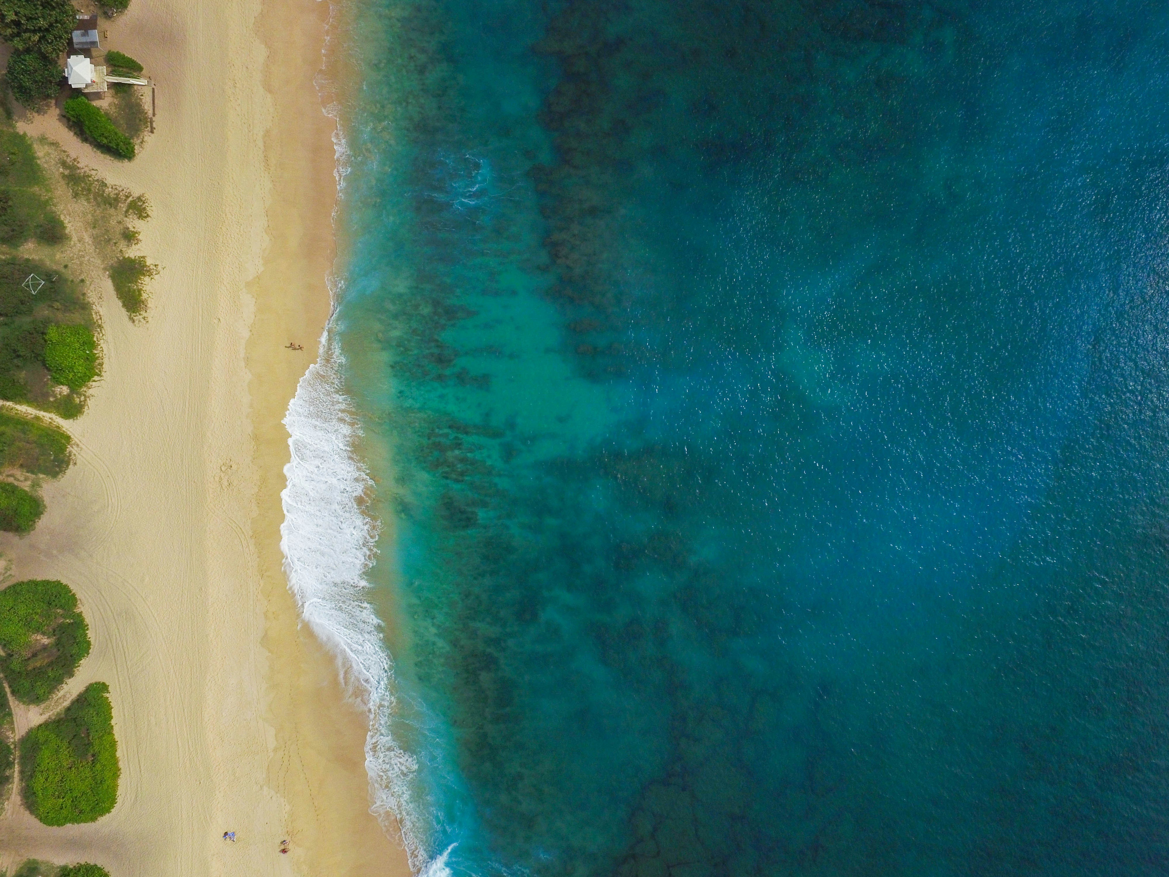 Aerial View of Coastal Beach