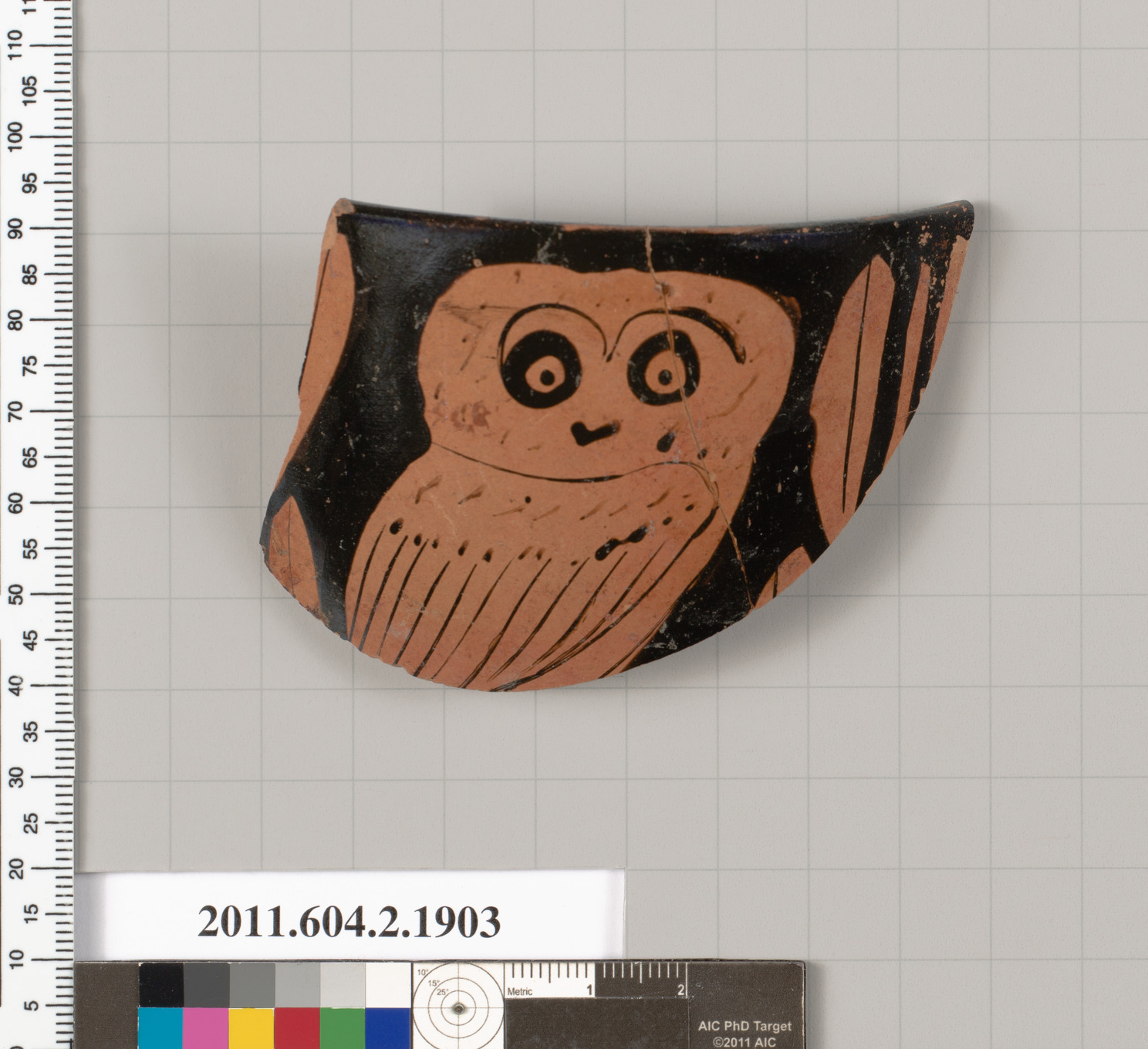 Ancient Owl Pottery Fragment