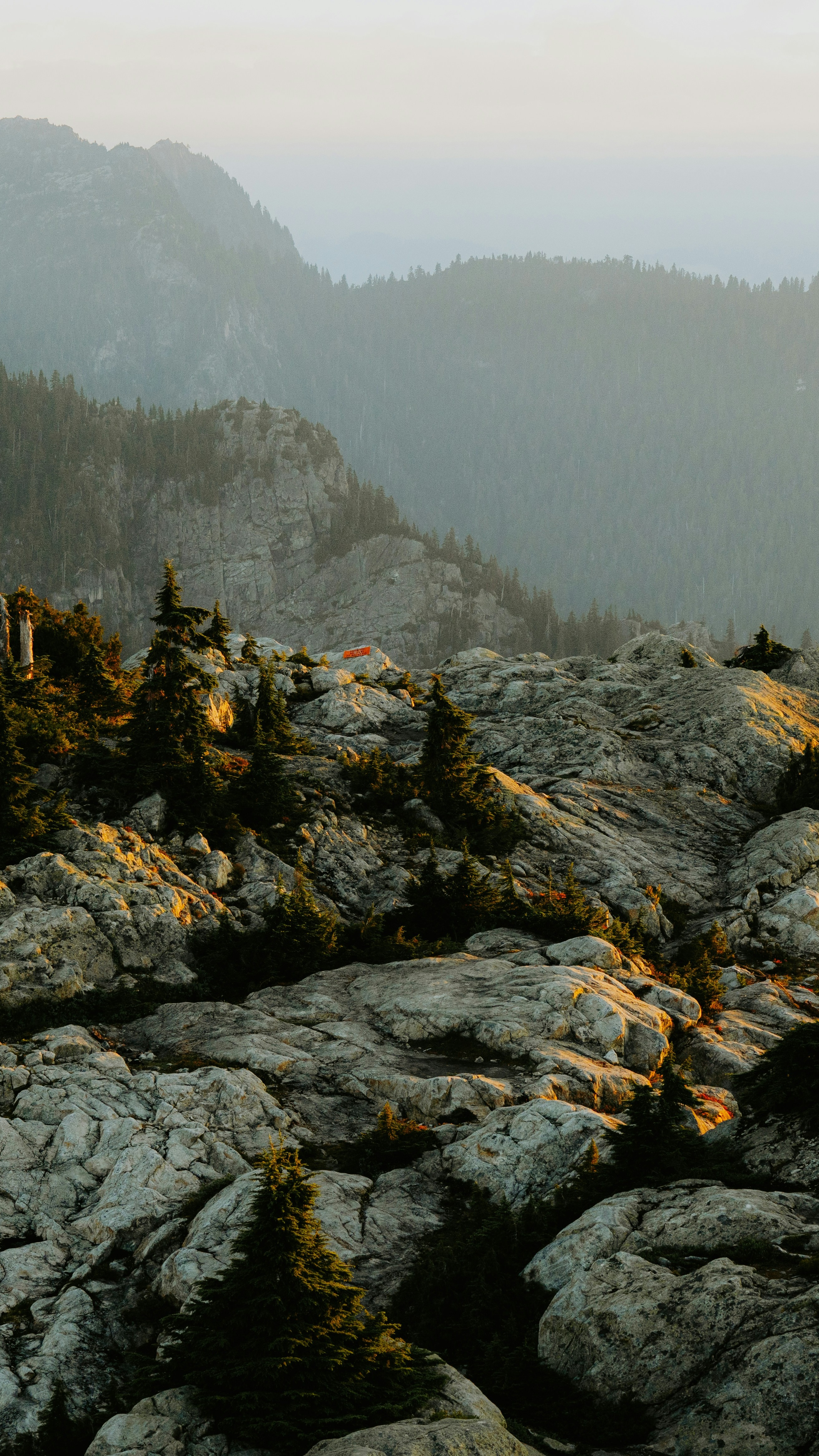 Landscapes