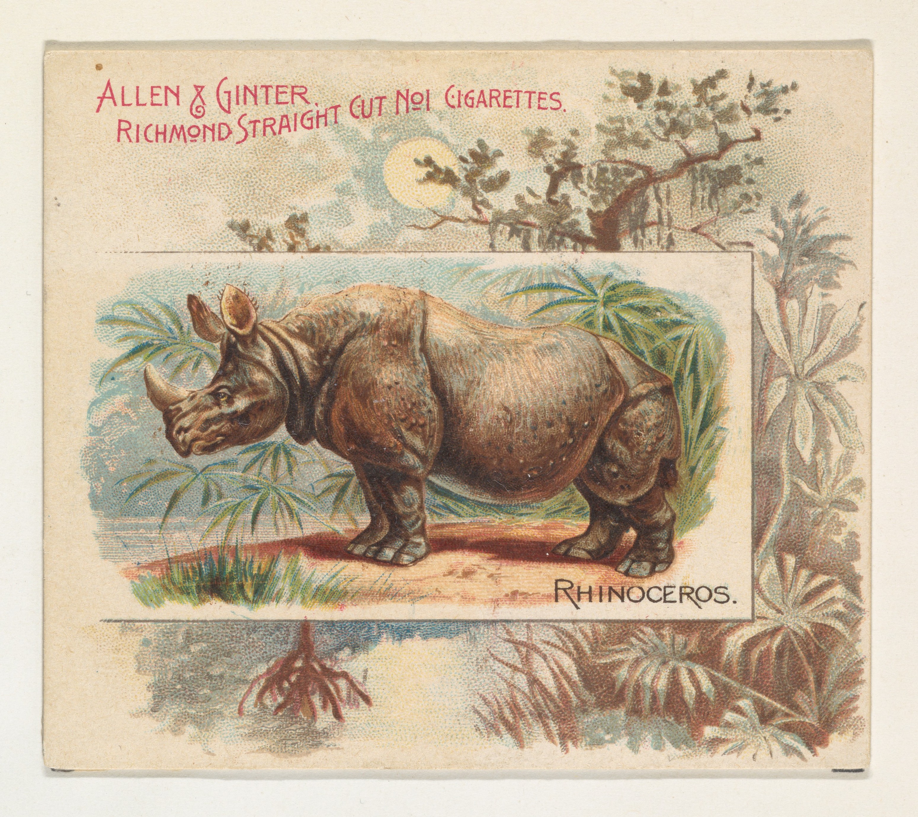 Vintage Cigarette Card with Rhinoceros