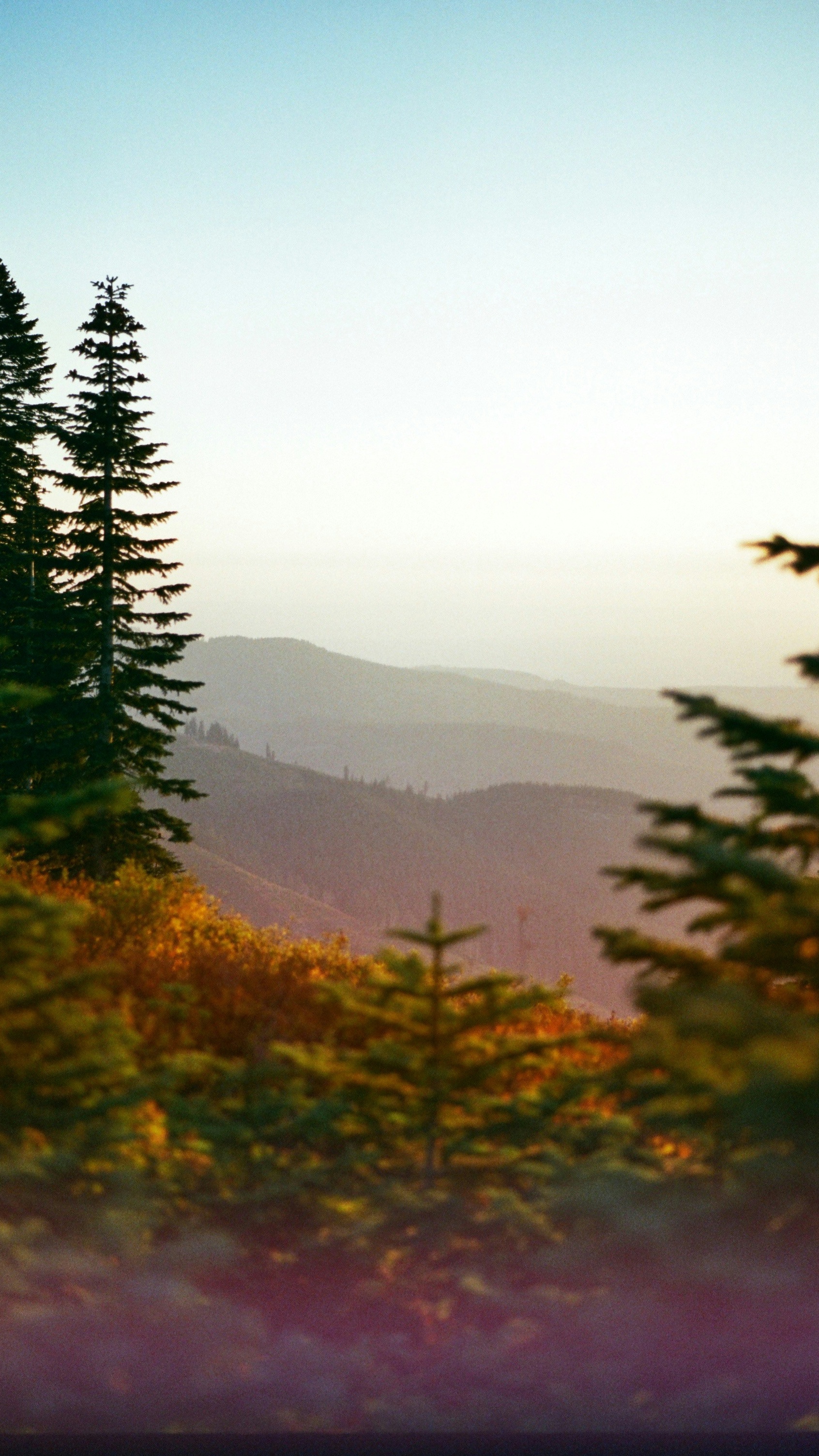 Landscapes