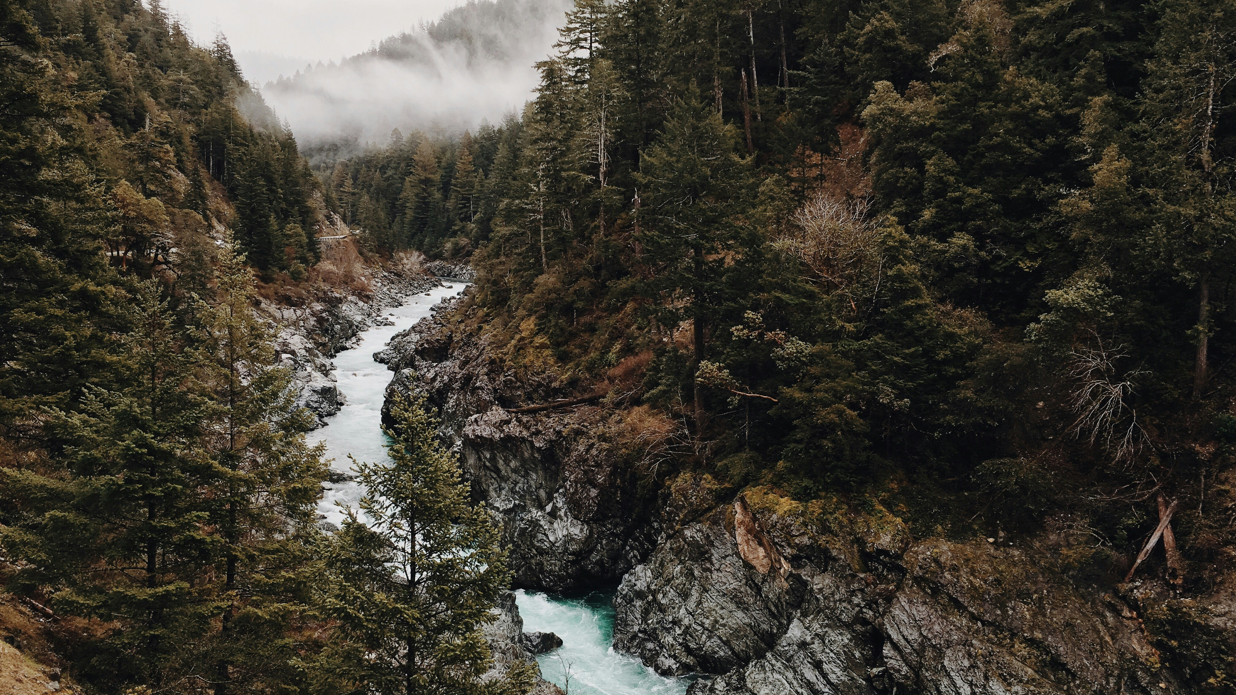 Misty Forested Mountain River Gorge