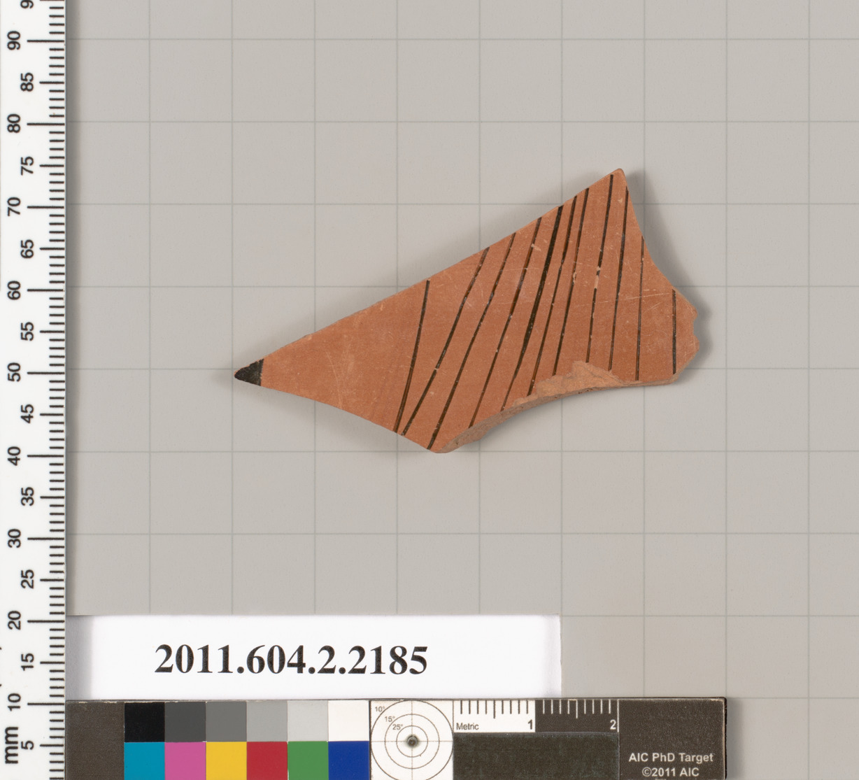 Ancient Terracotta Pottery Shard