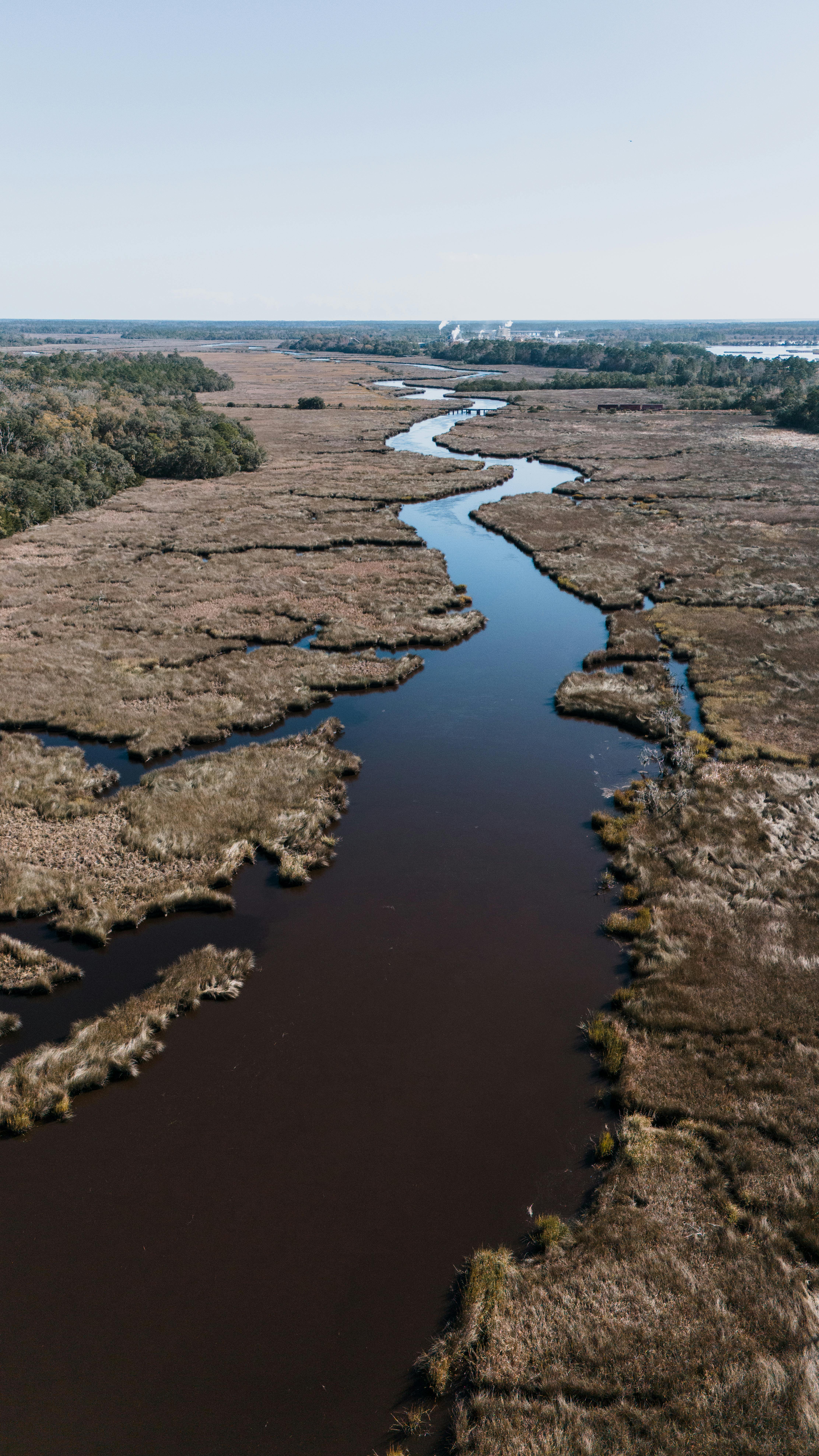 Winding River Through Coastal Marsh
