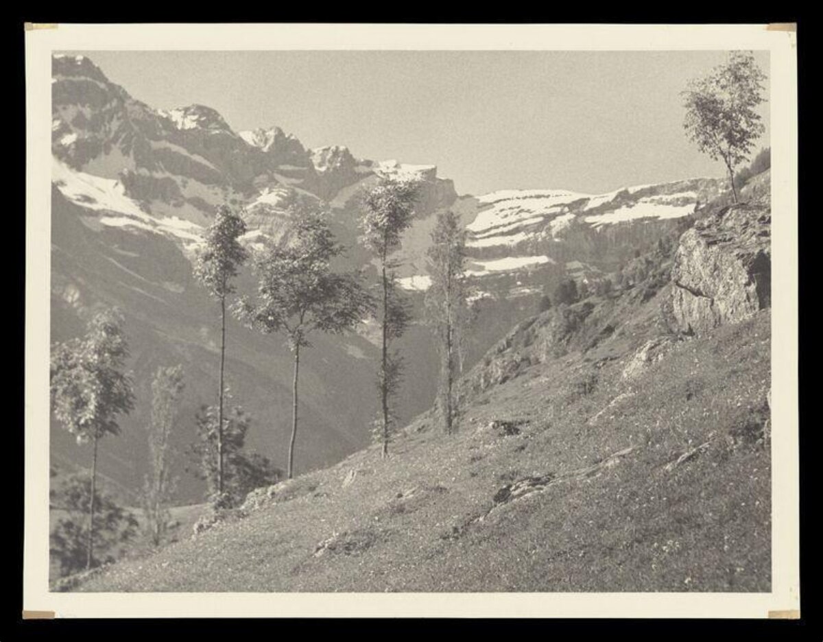 Alpine Snow-capped Mountain Landscape
