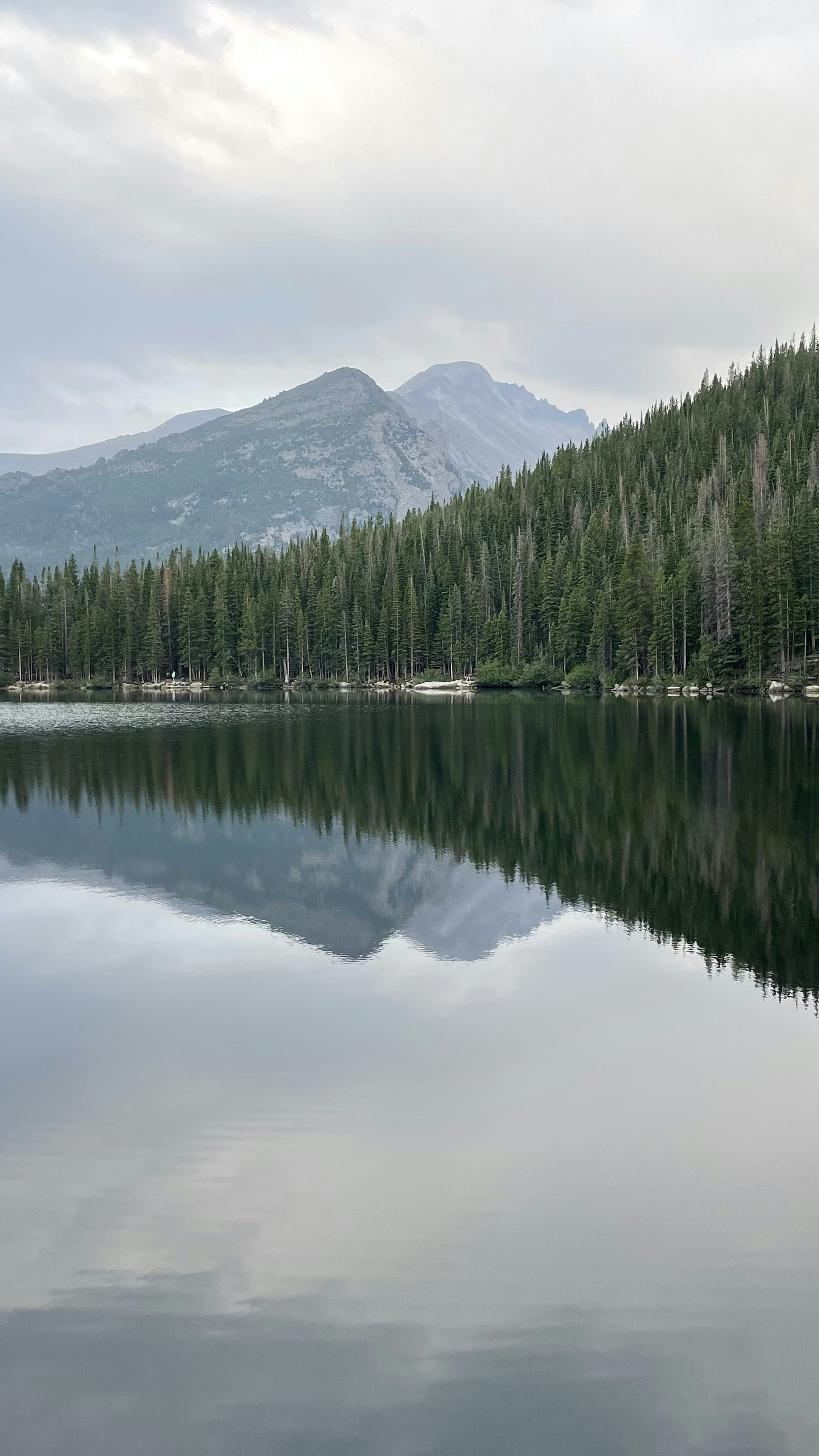 Landscapes