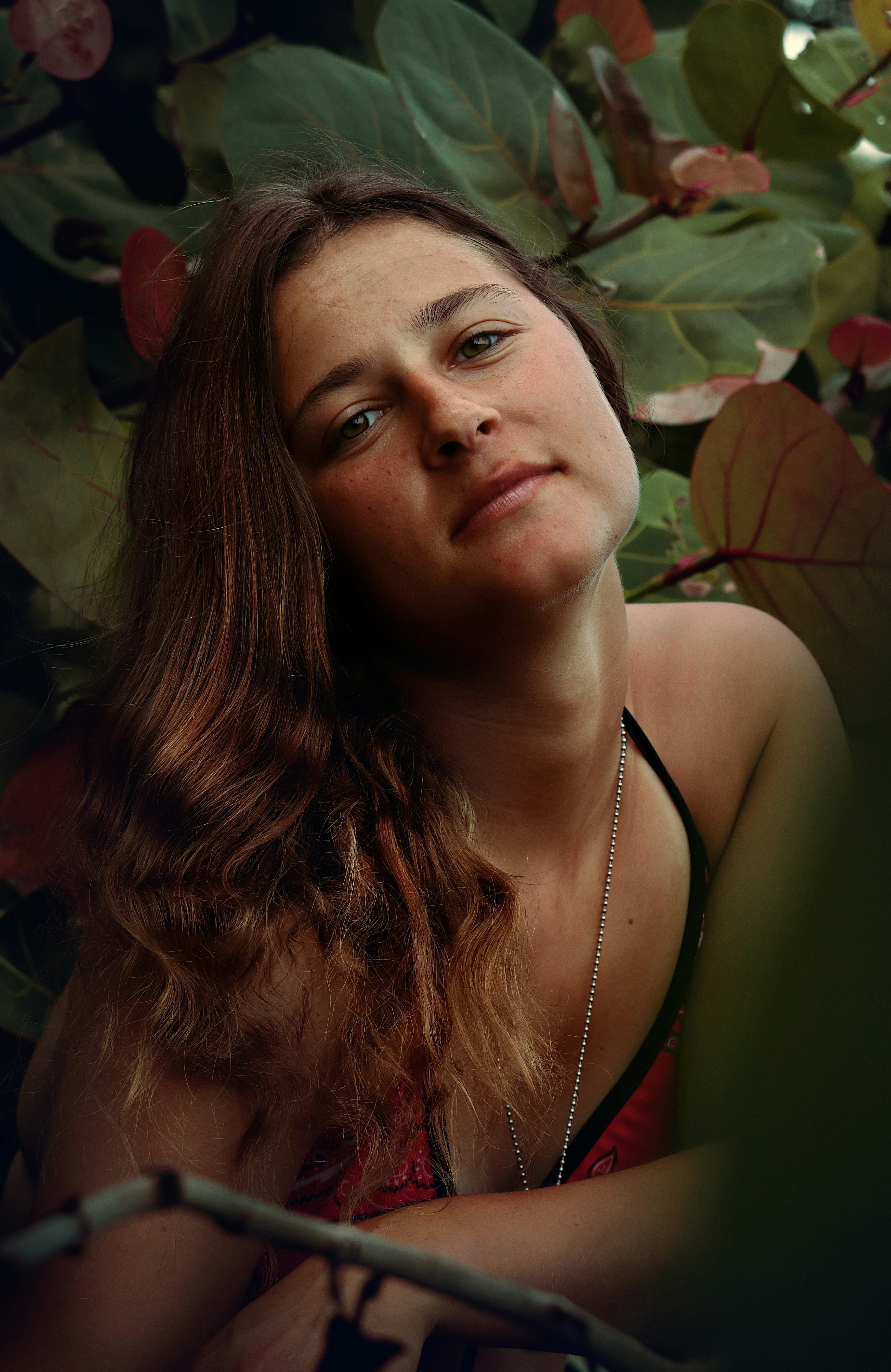 Forest & Flora