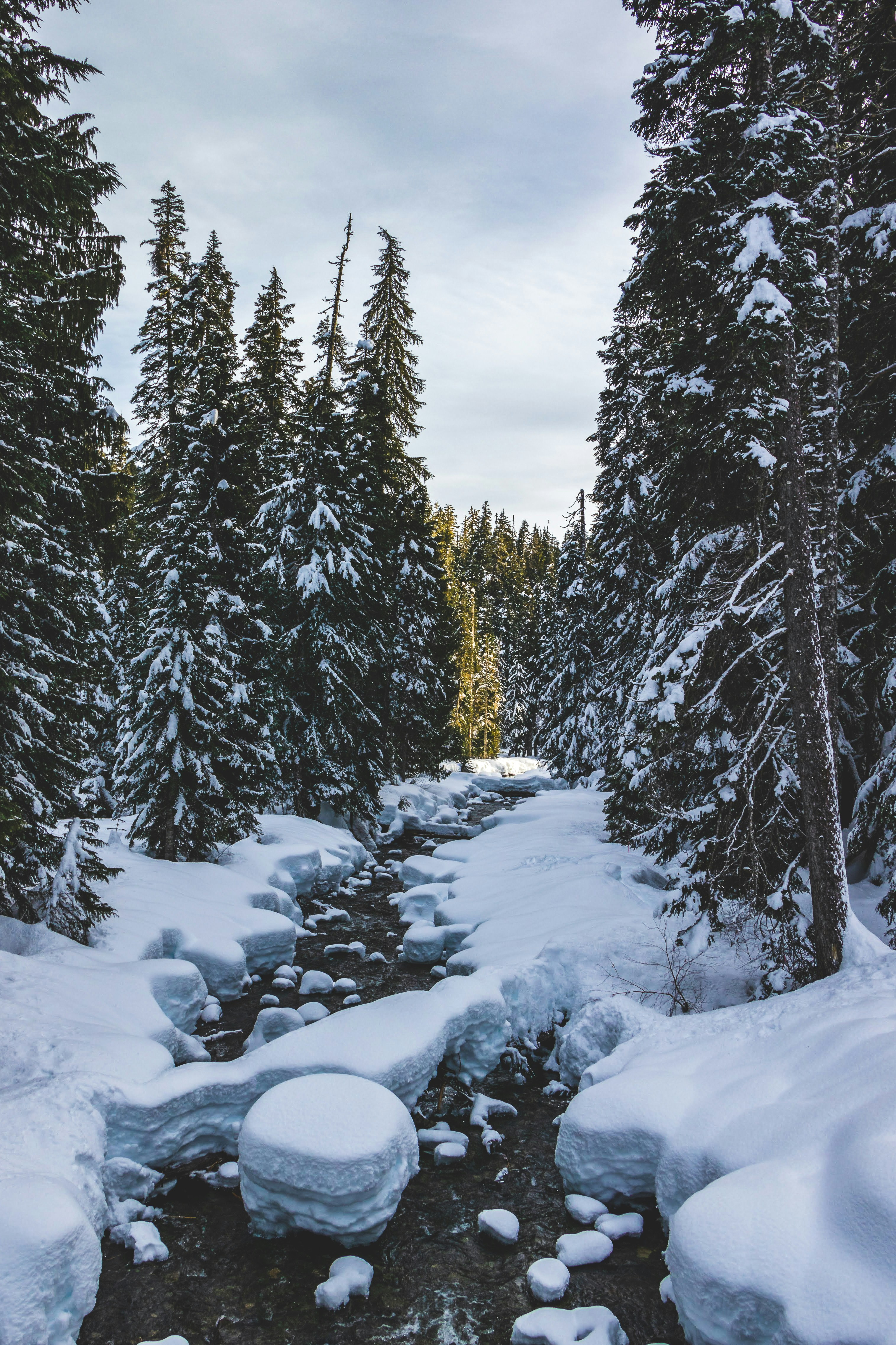 Snow-covered Forest Creek