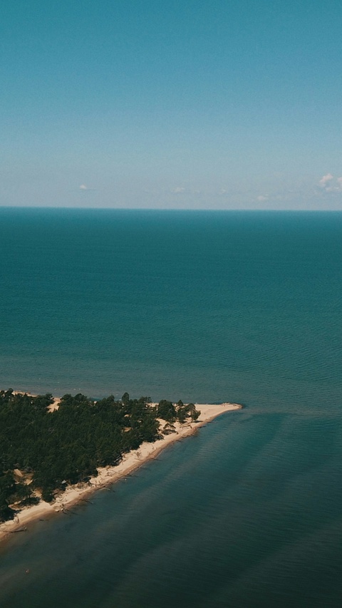 Aerial View of Forested Coastal Spit