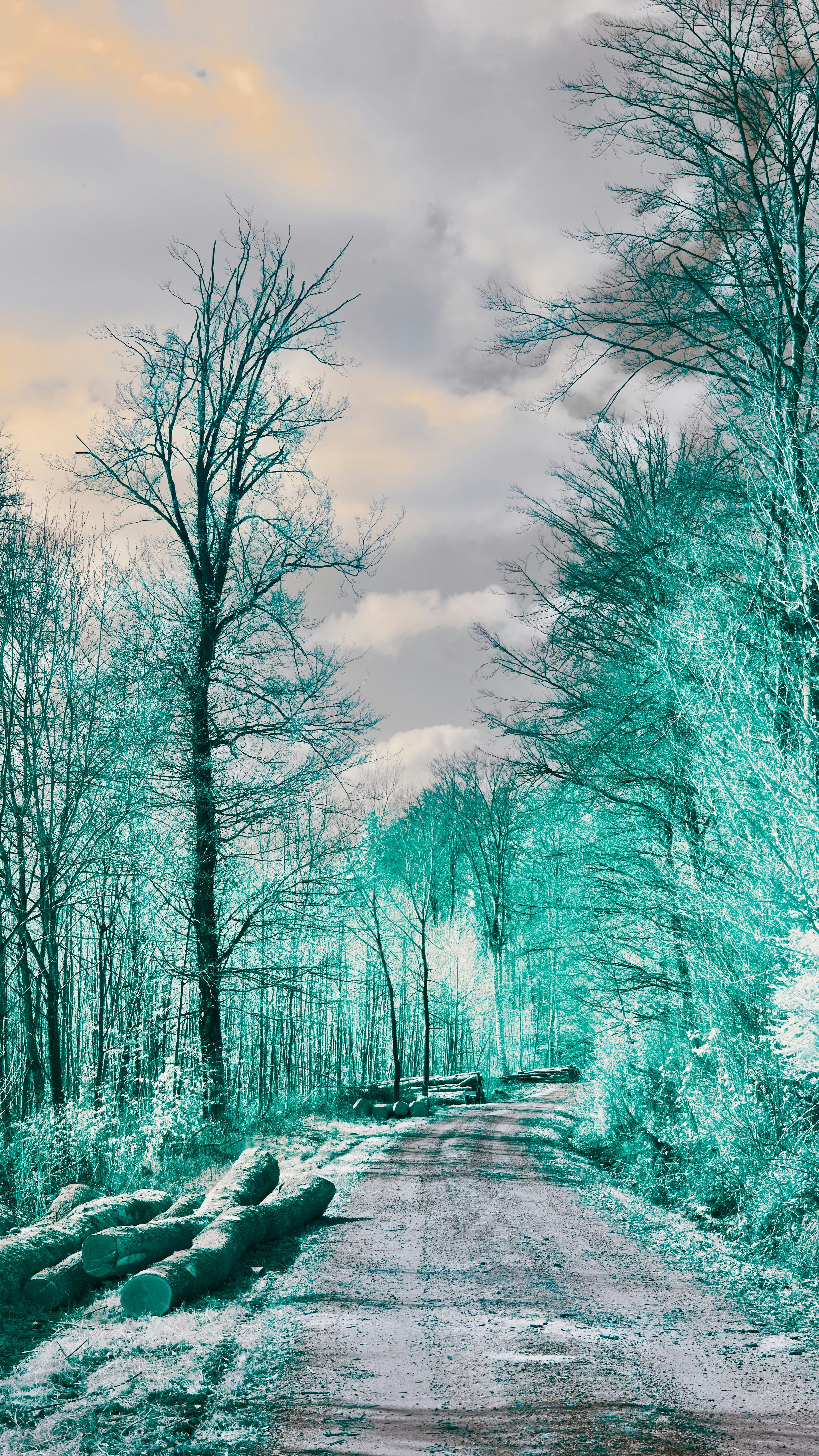 Wallpapers