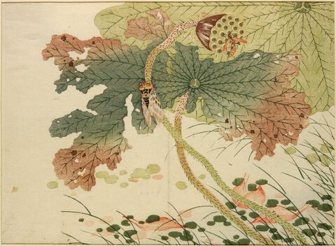 Autumn Lotus and Insects Print