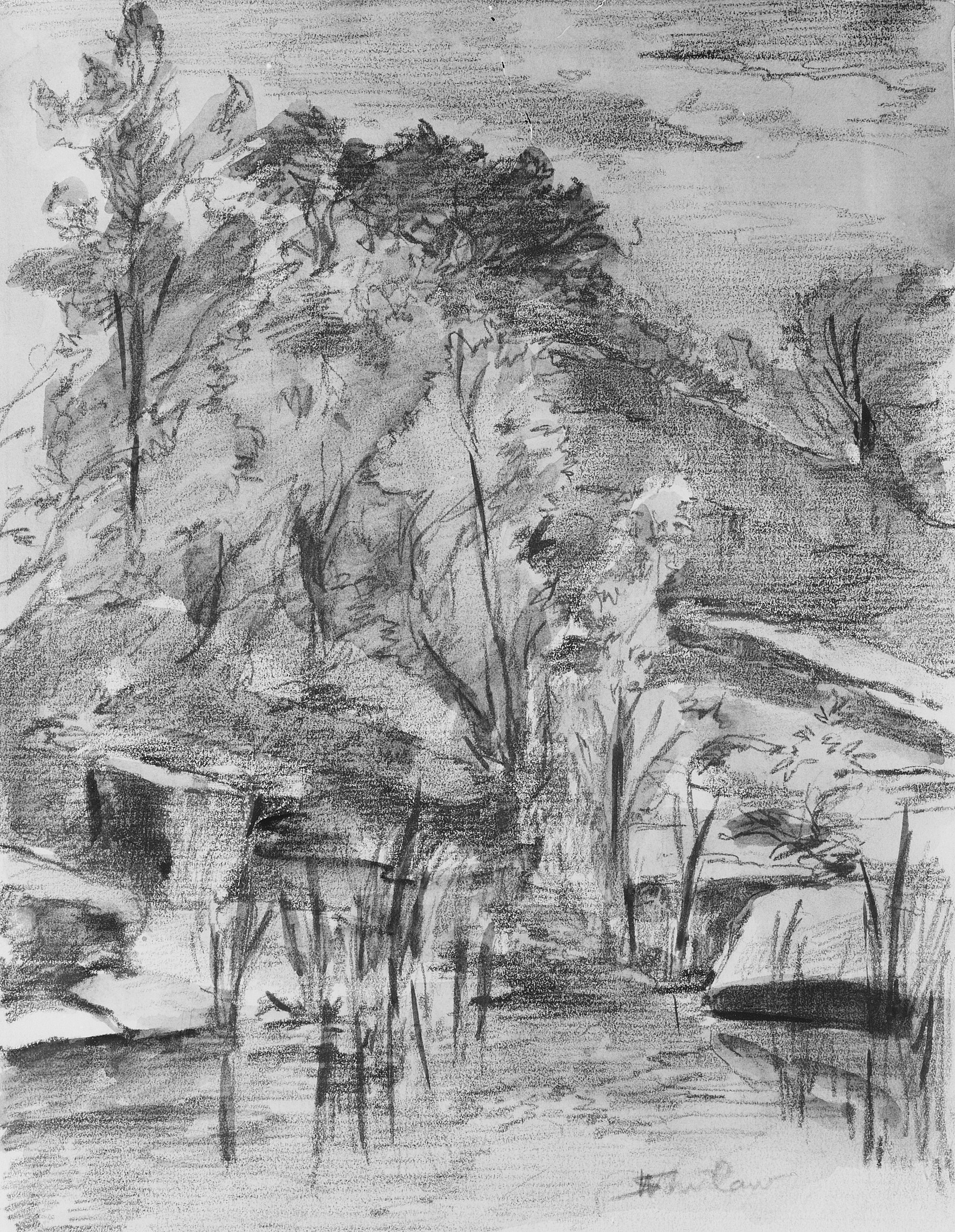 Wooded River Bank Charcoal Sketch