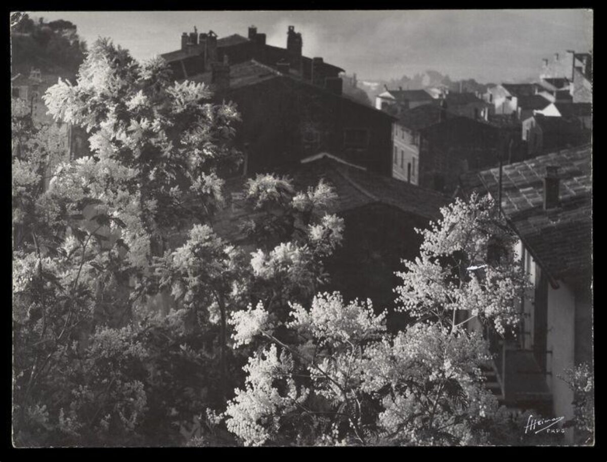 Black and White Rooftop Town View