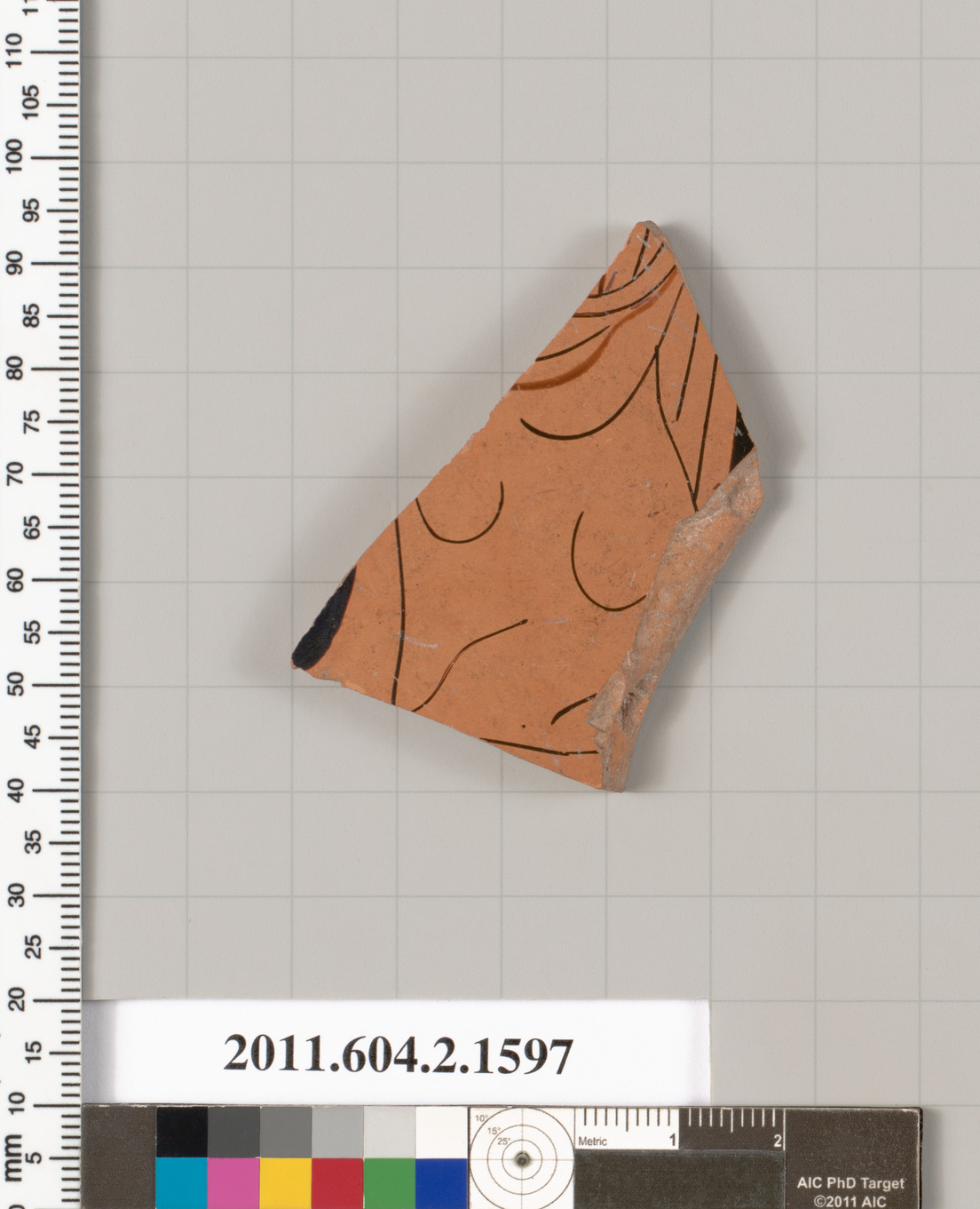 Ancient Terracotta Pottery Fragment