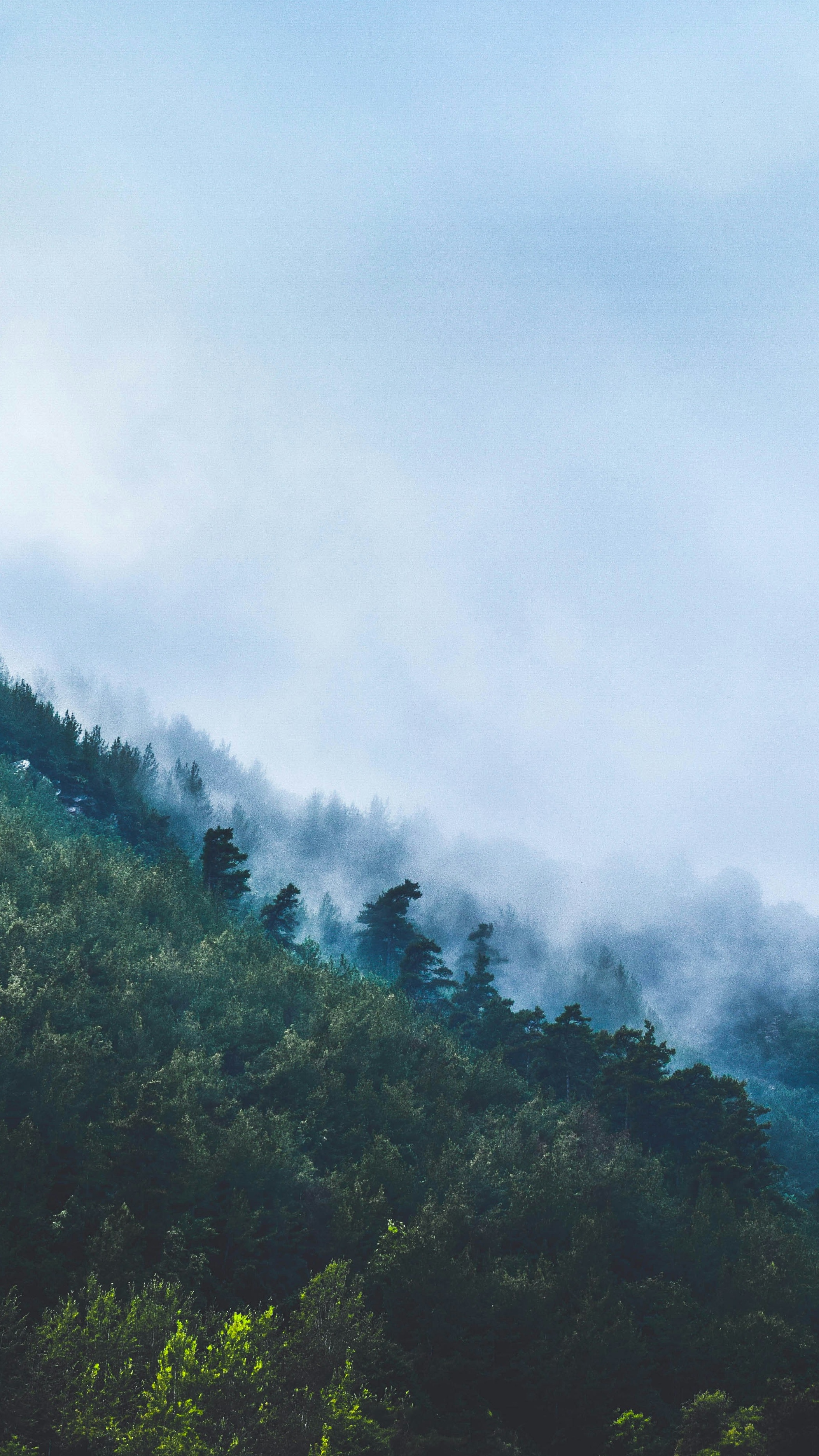 Wallpapers