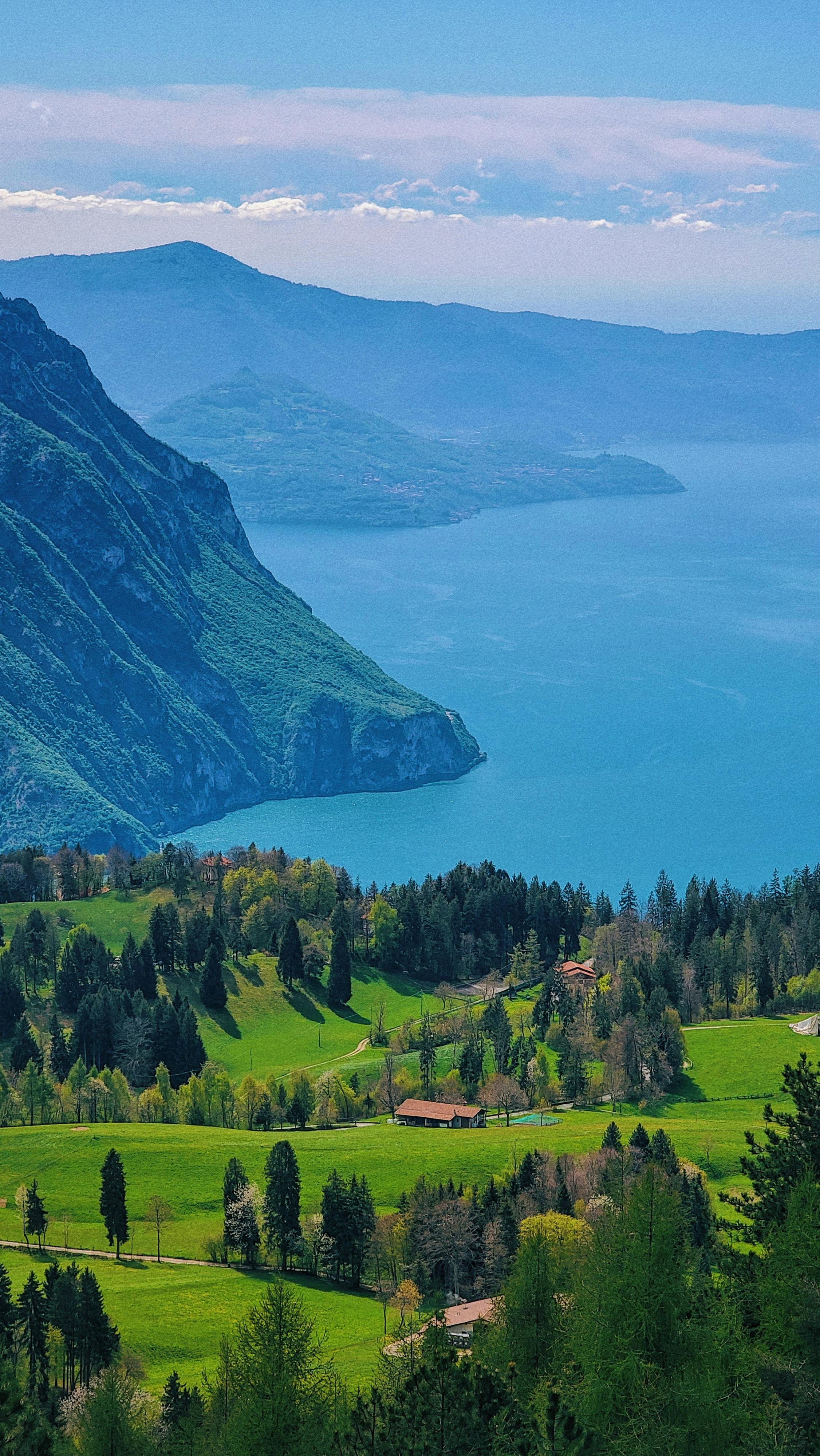 Wallpapers