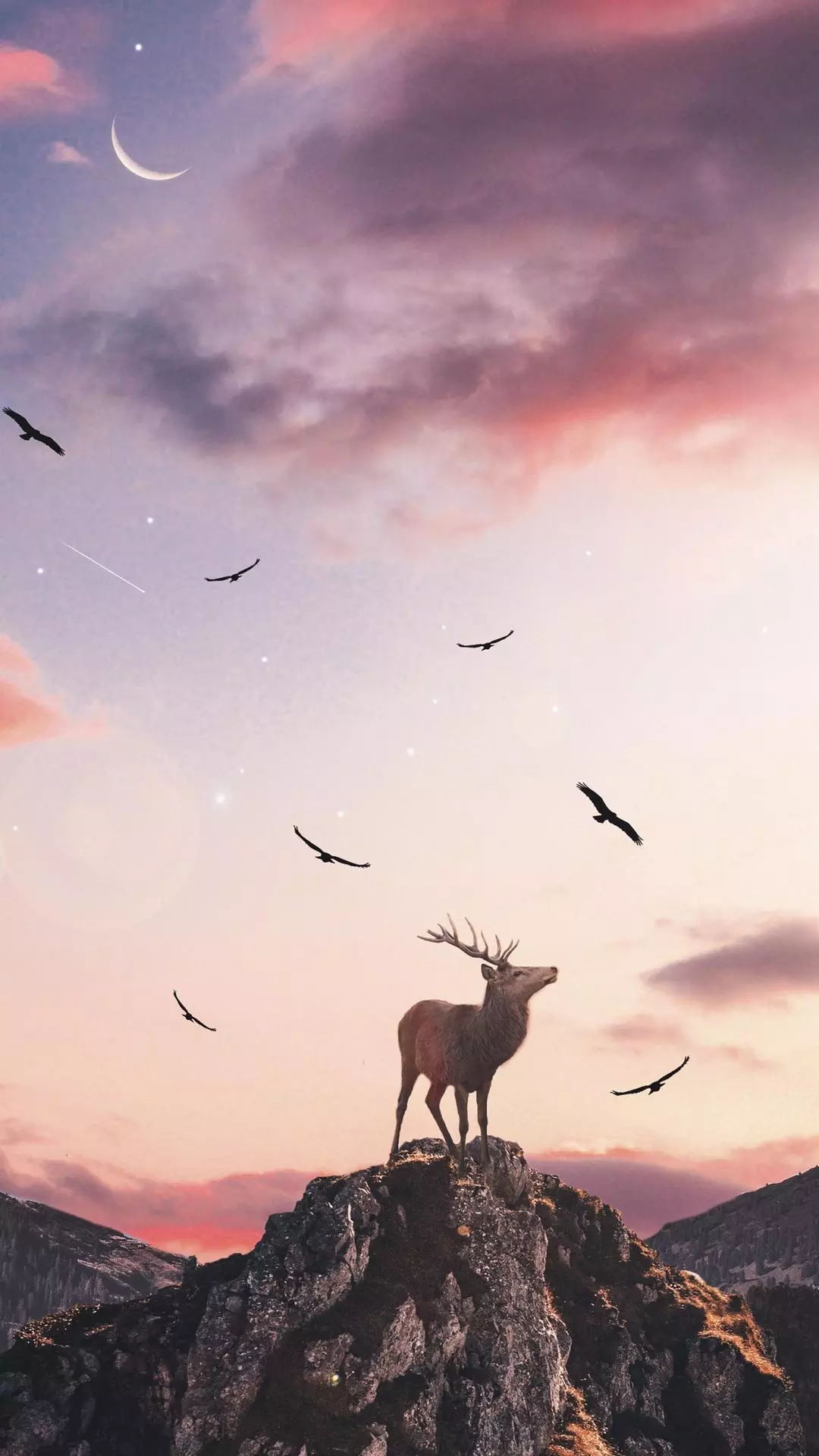 Wallpapers
