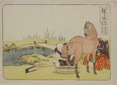 Ukiyo-e Print of Washing a Horse