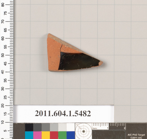 Archaeological Pottery Shard Specimen