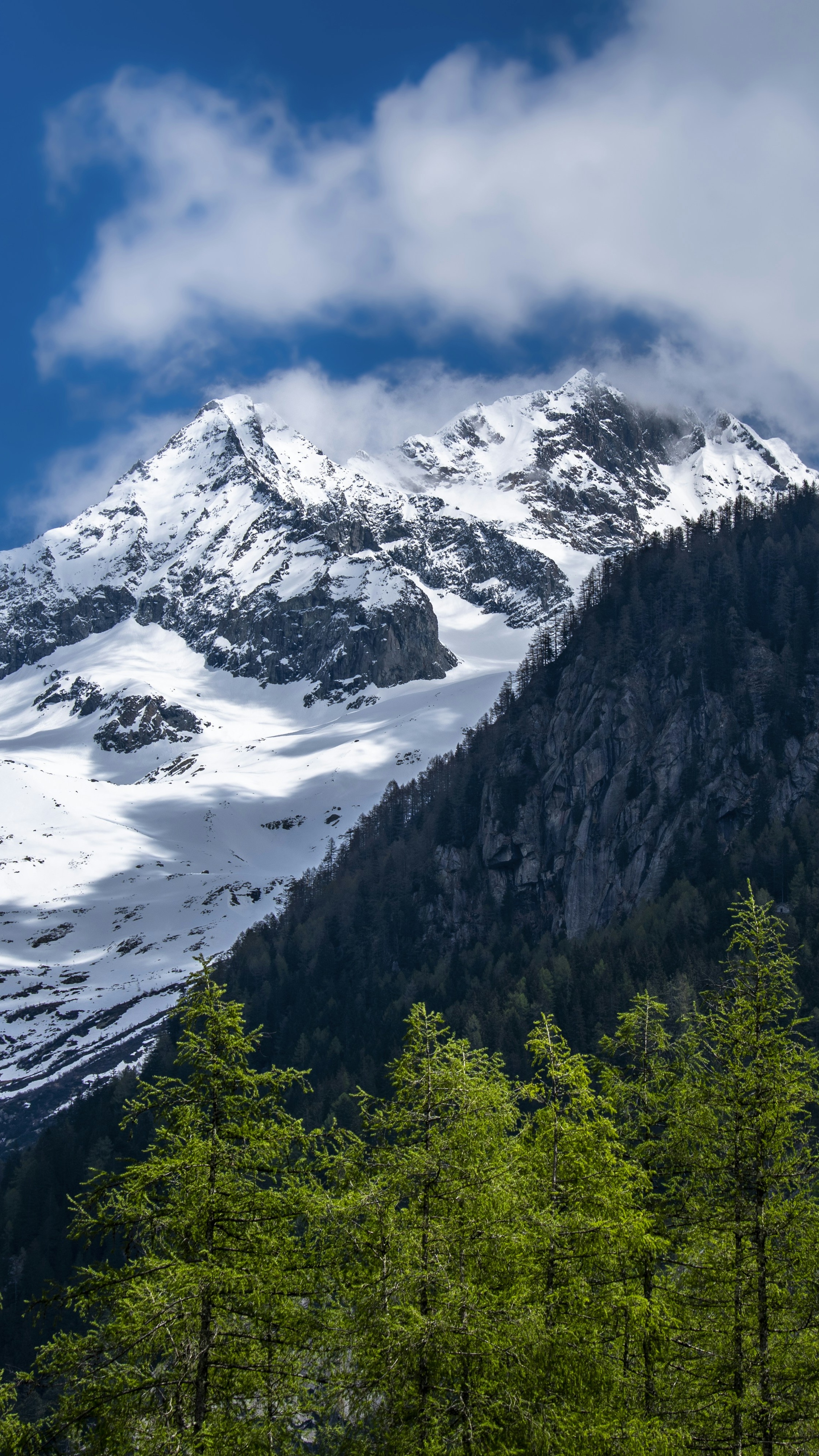 Snow-Capped Mountain Forest Landscape