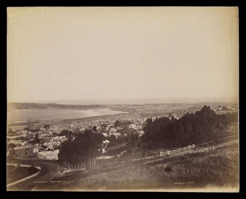Dunedin View from Roslyn