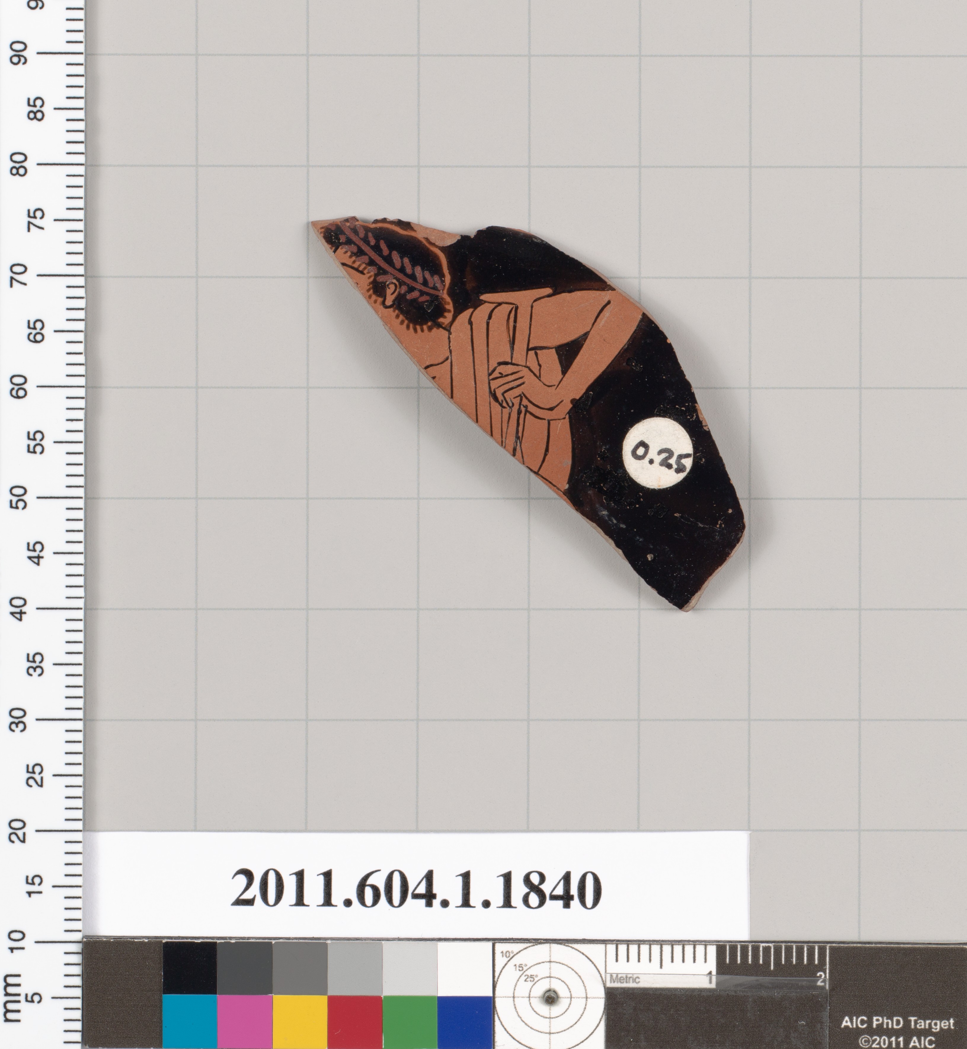 Ancient Terracotta Pottery Fragment