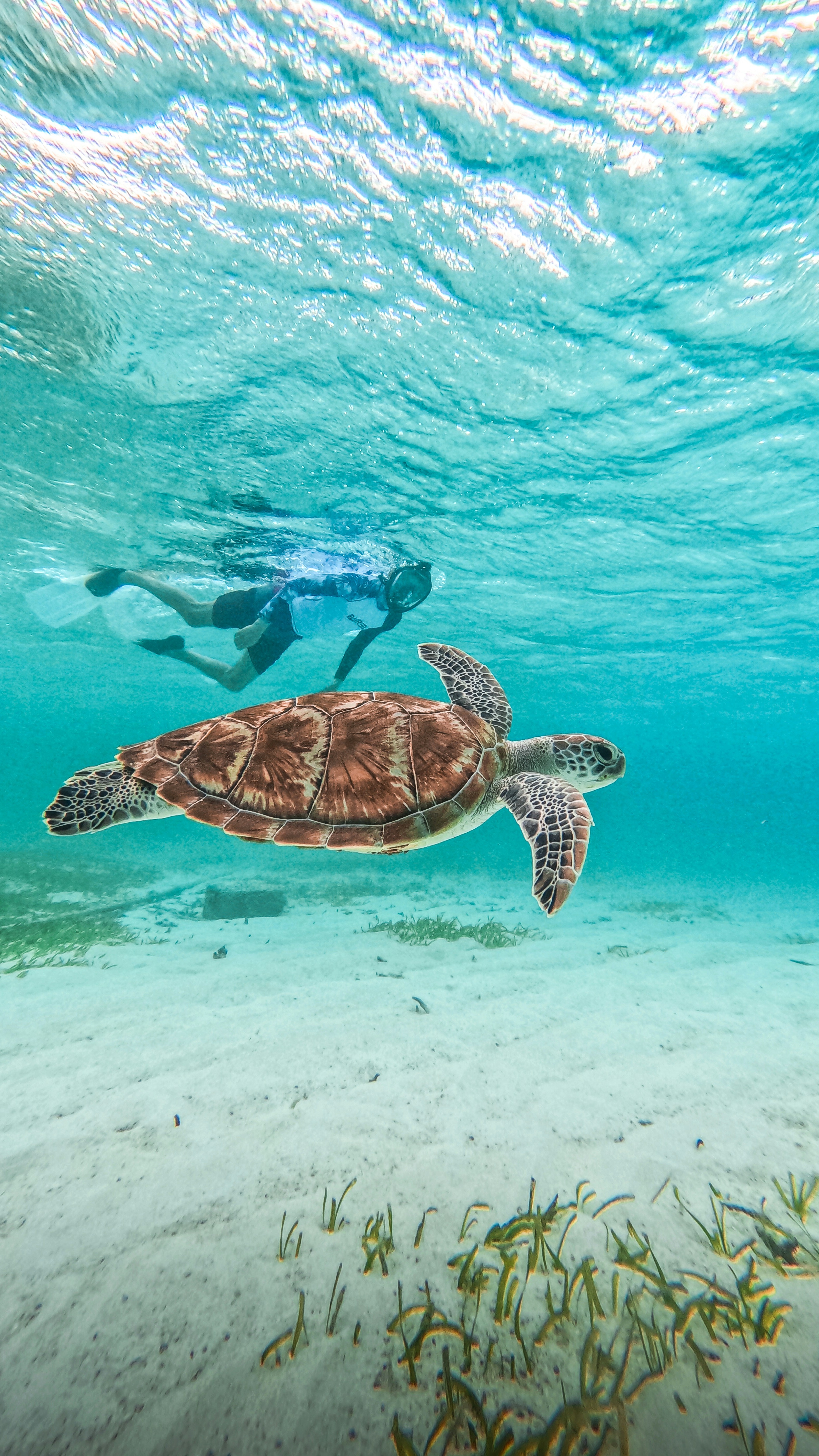 Ocean World