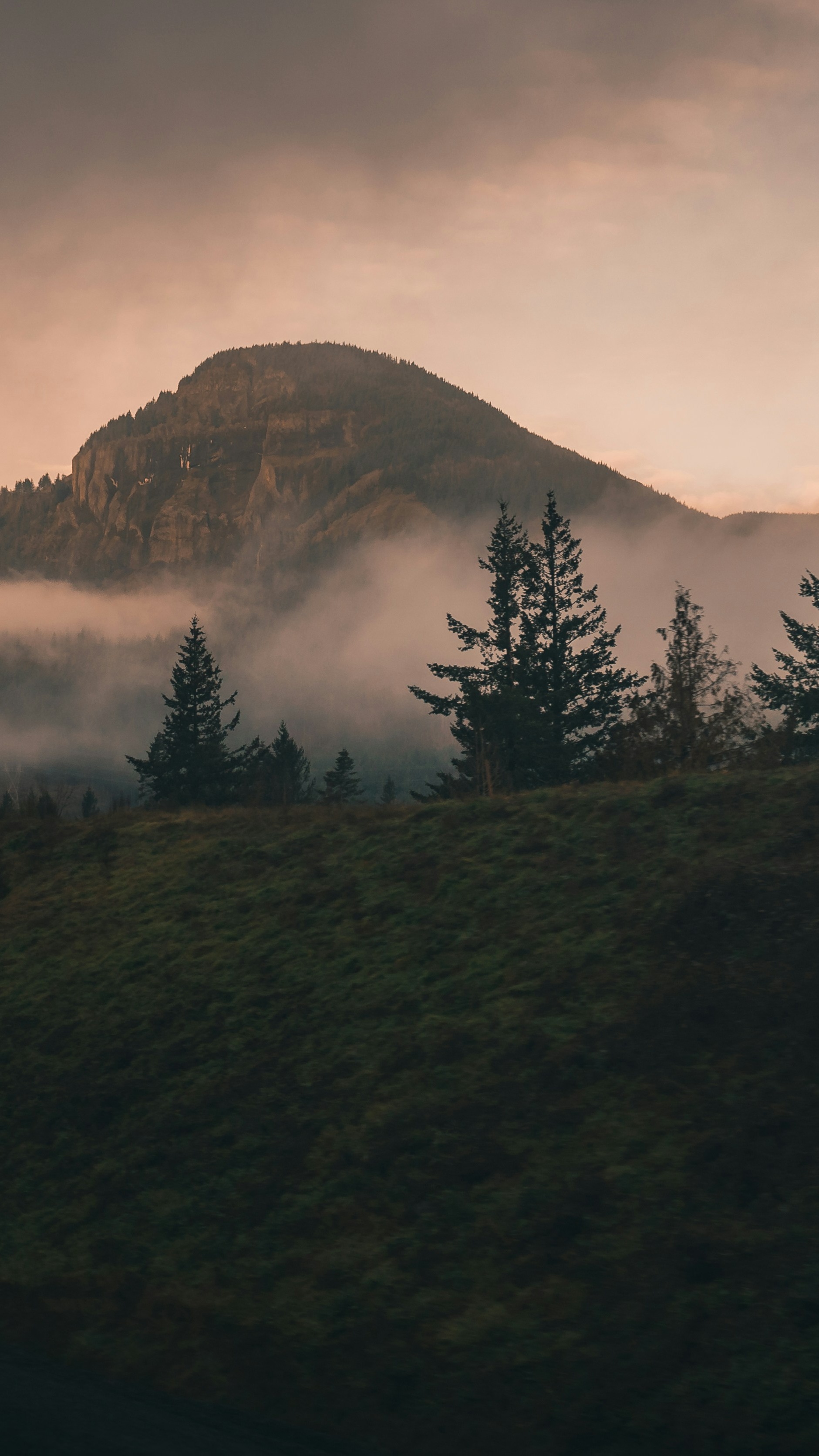 Landscapes