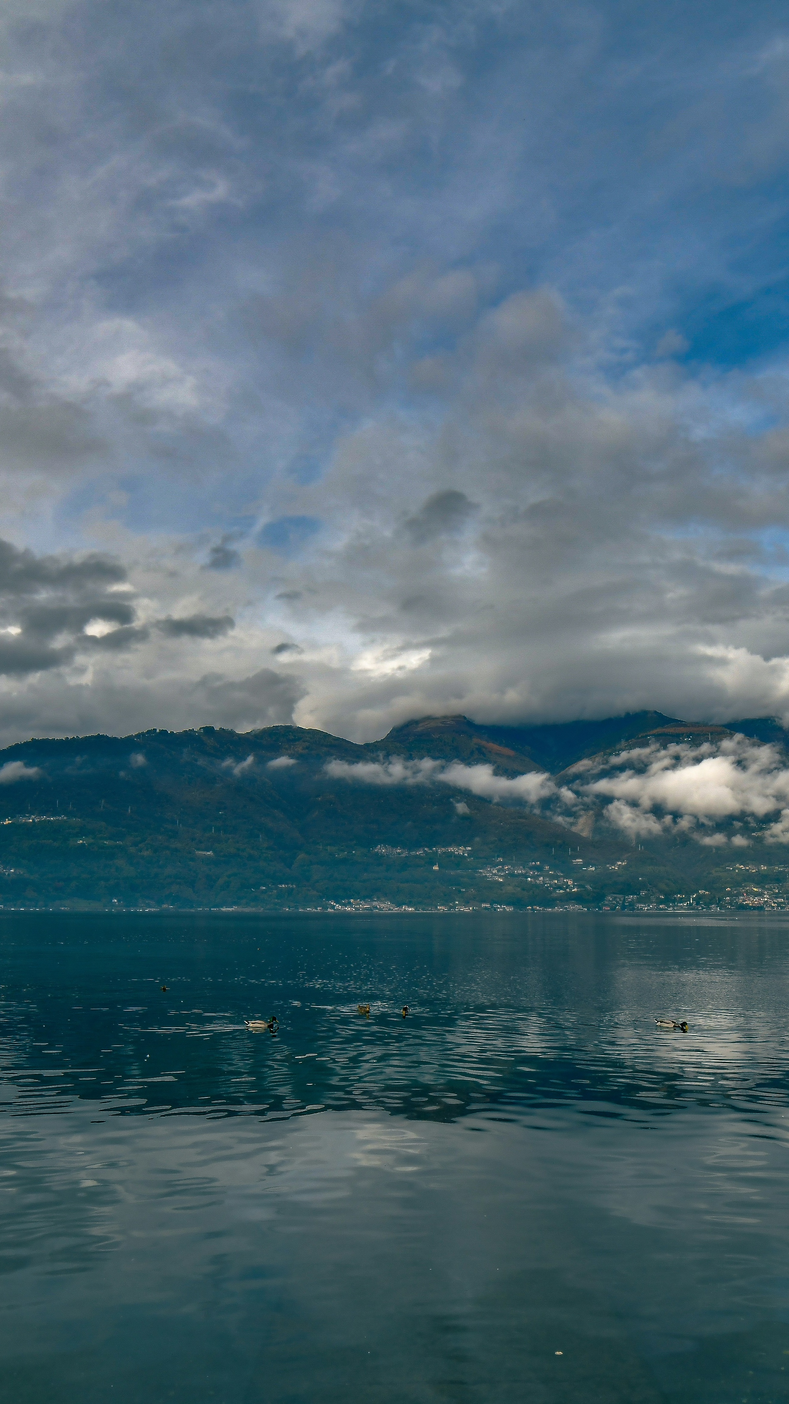 Landscapes