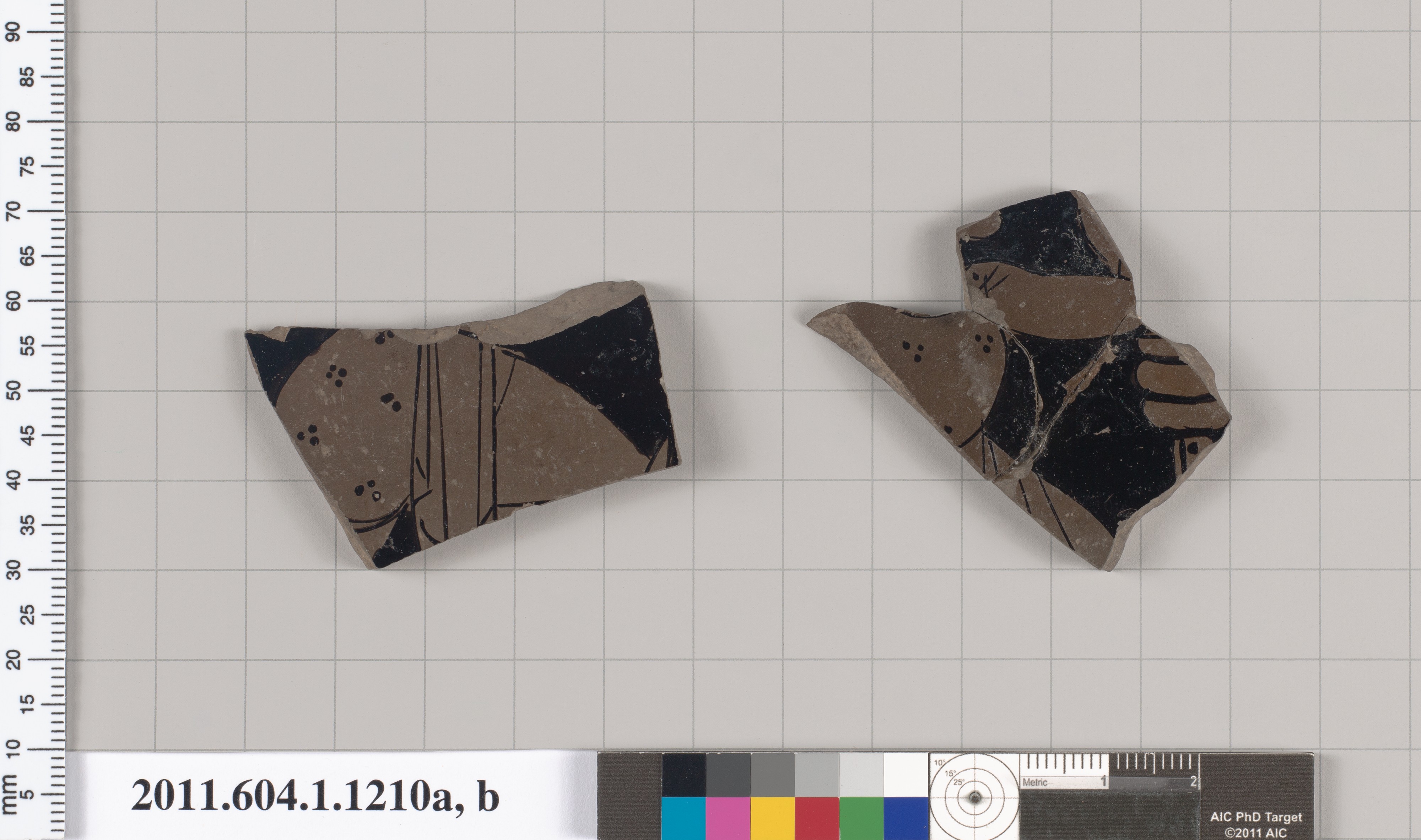 Two Ancient Pottery Fragments