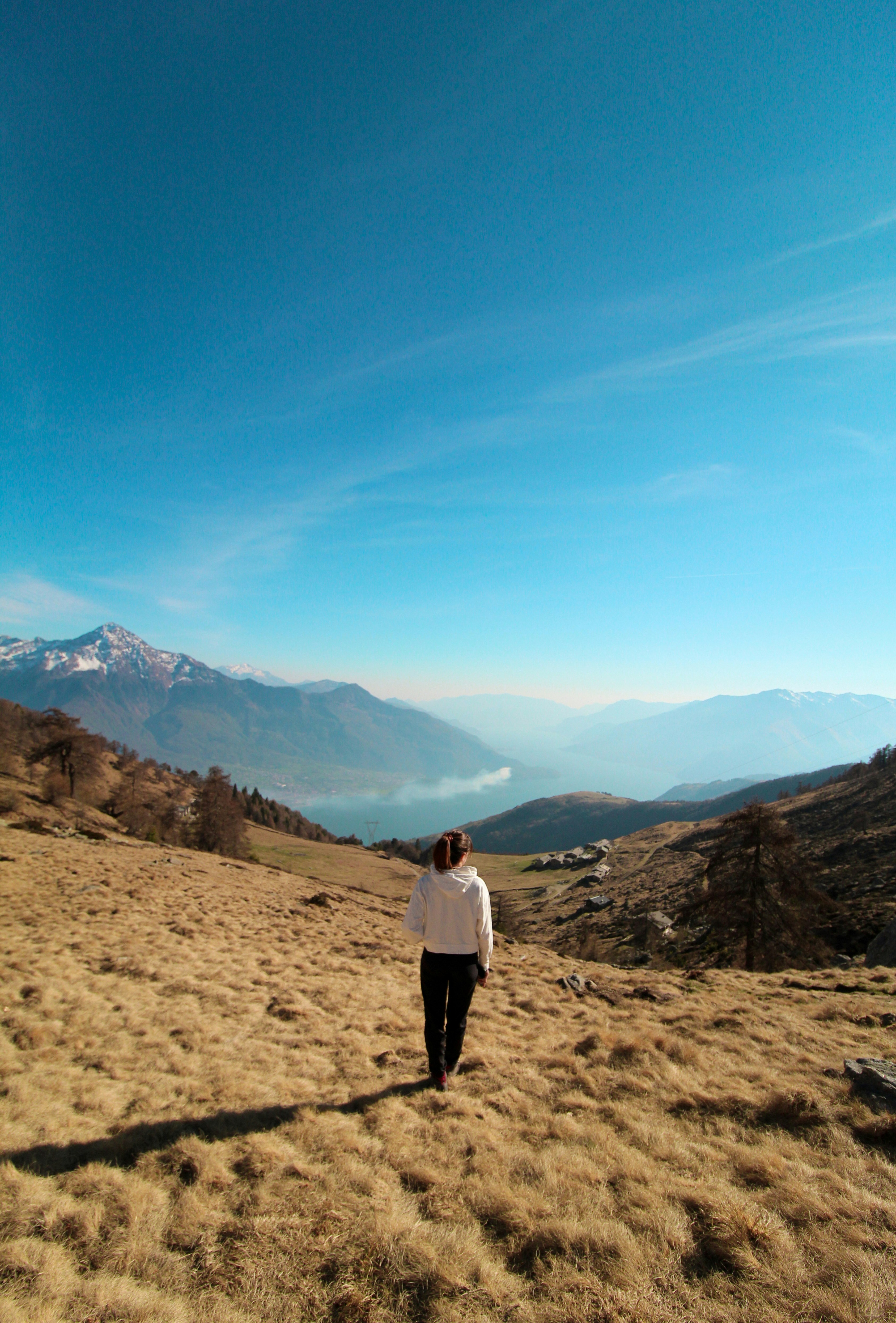Landscapes
