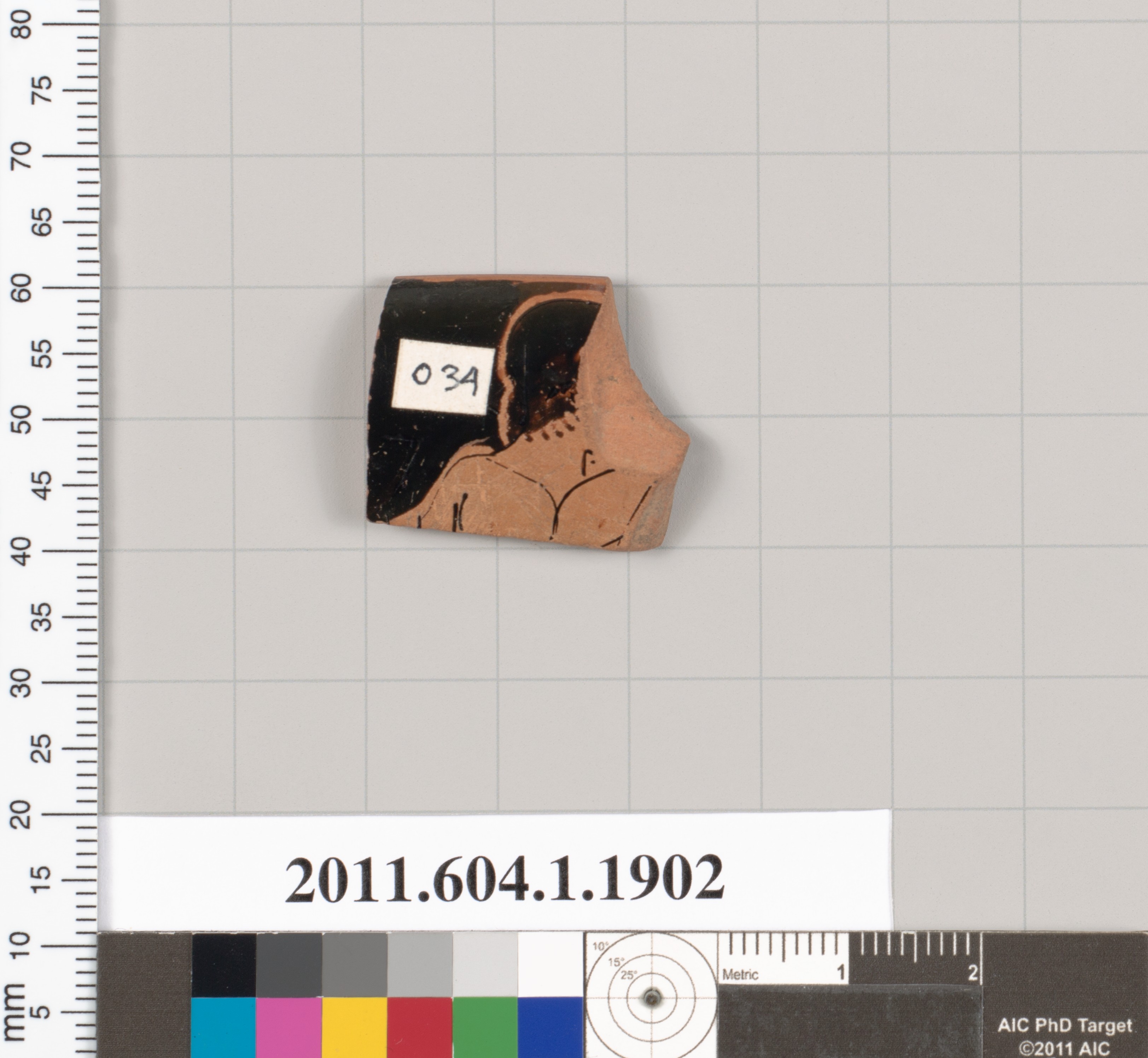 Ancient Pottery Fragment