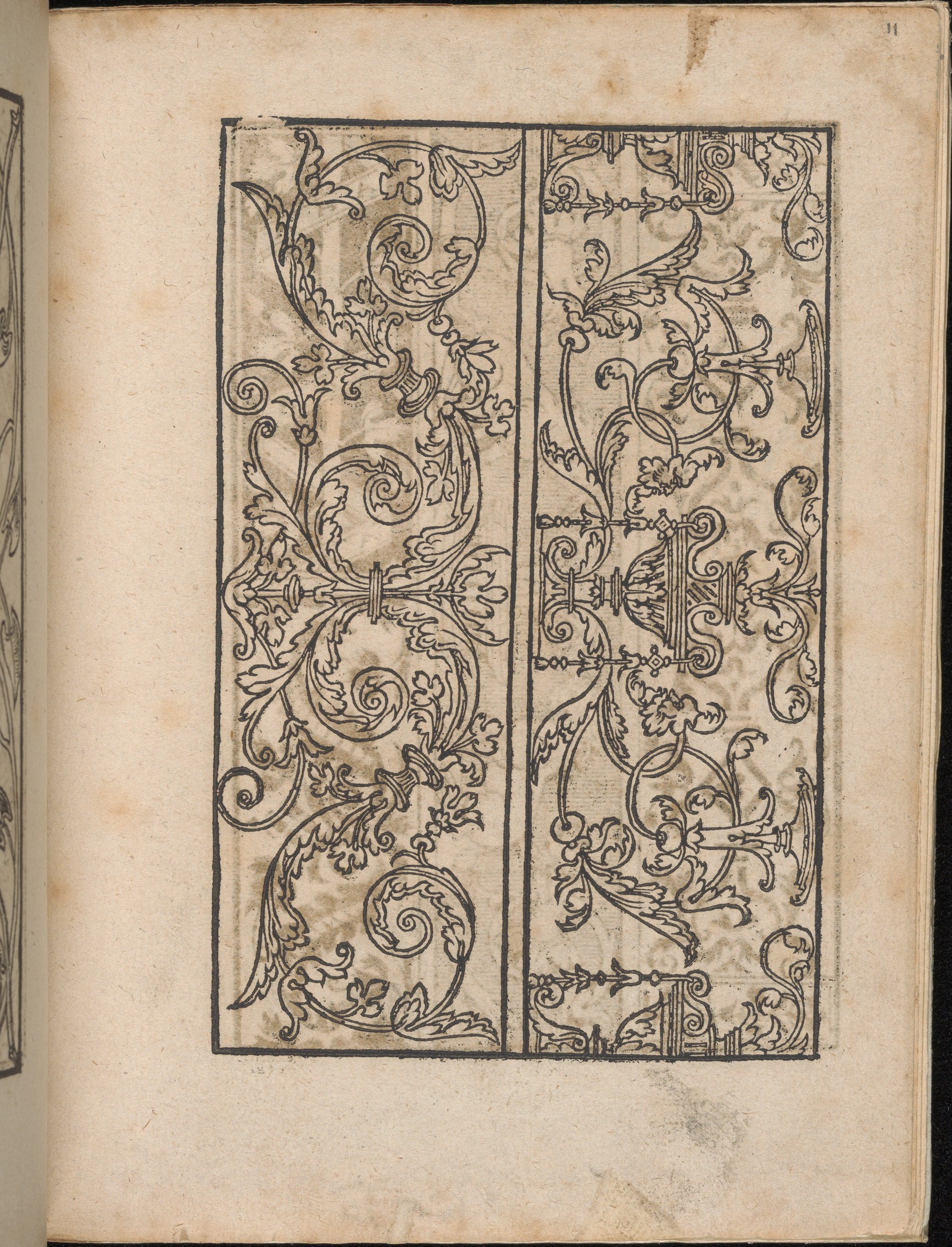 Antique Scrollwork Ornament Engraving