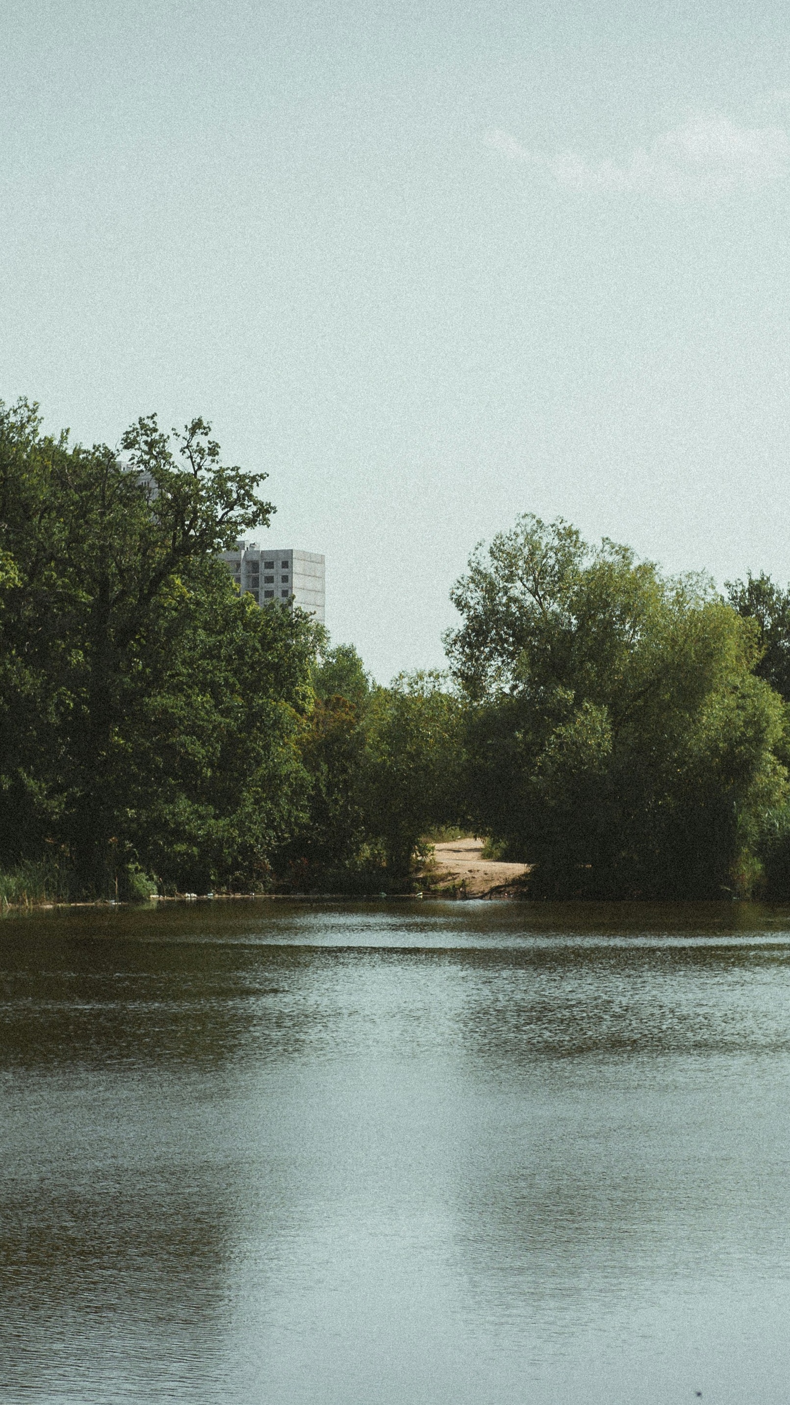 Calm River View with Lush Trees