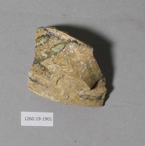 Cataloged Museum Rock Specimen