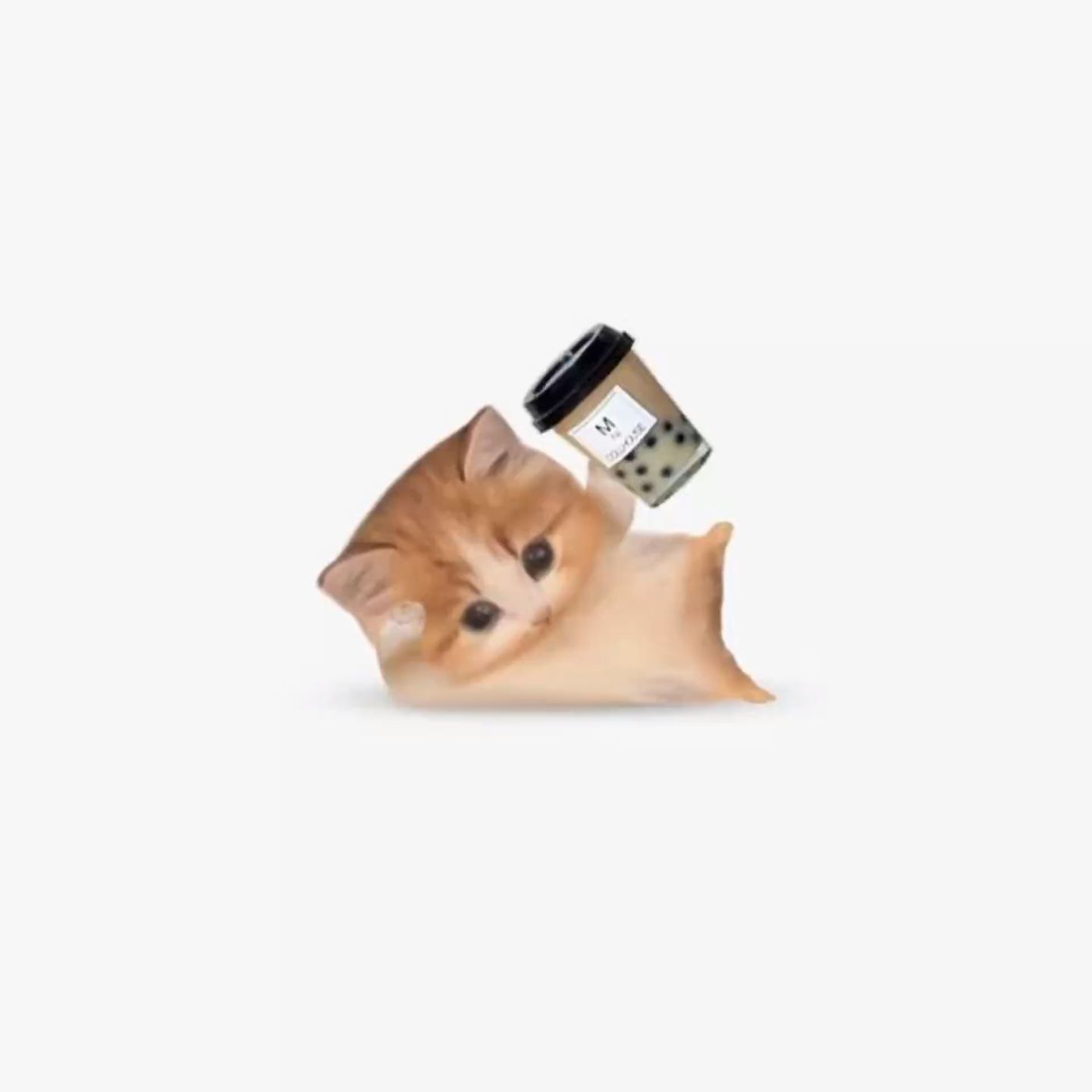 Cat Bubble Tea Meme