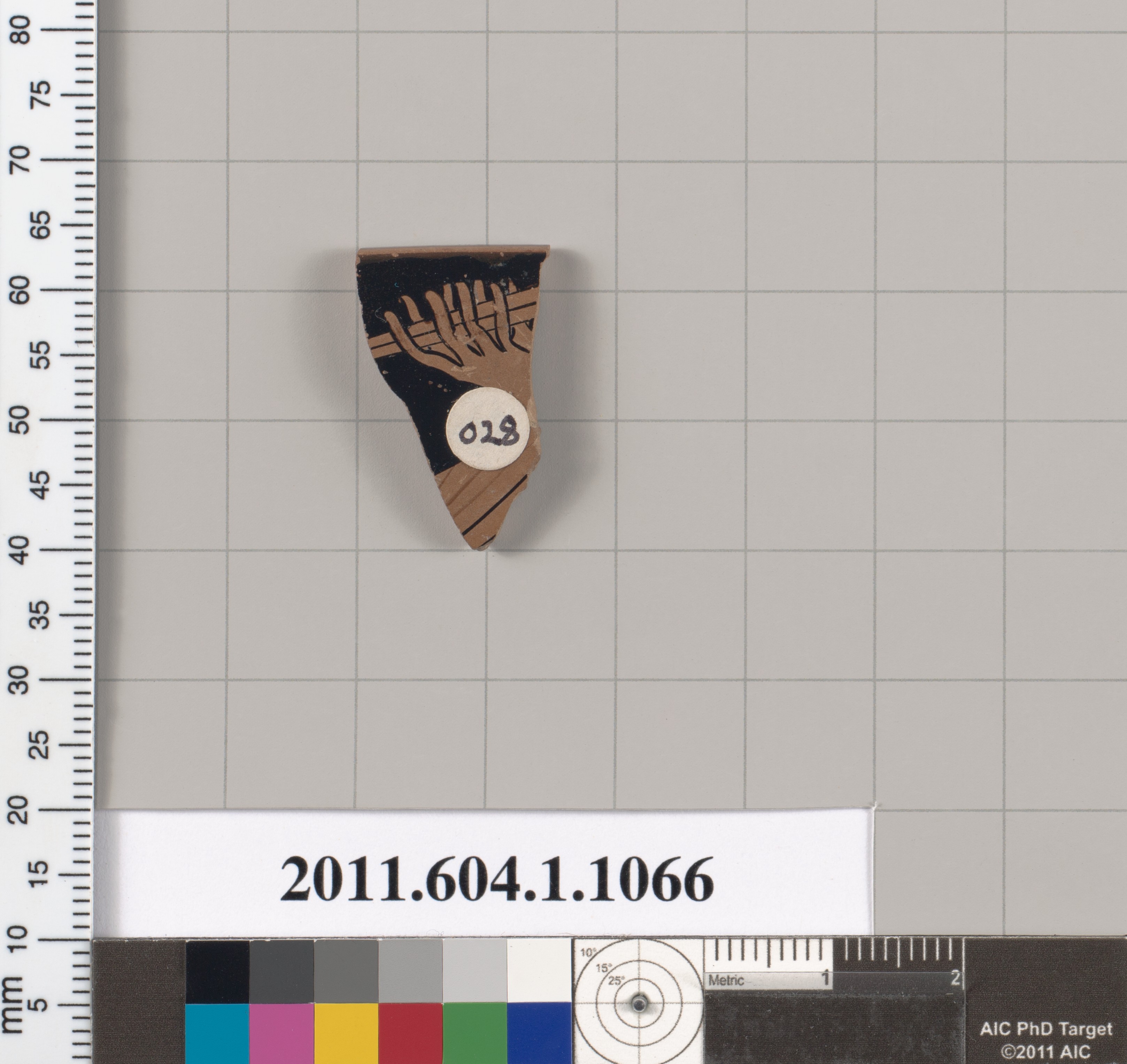 Ancient Terracotta Pottery Fragment