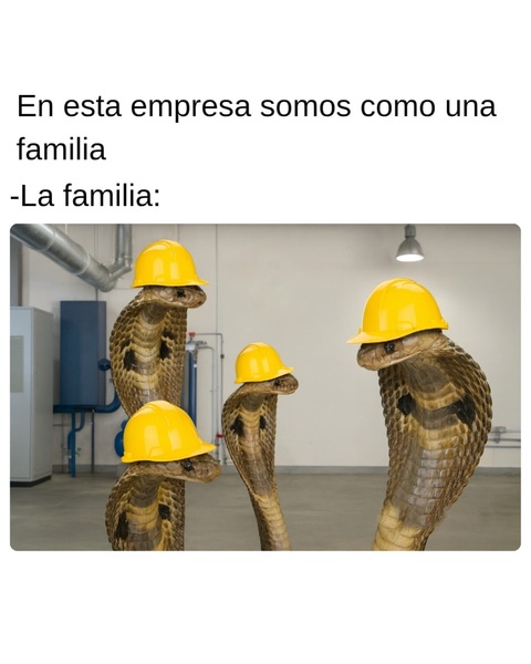 Toxic Company Family Meme With Cobras