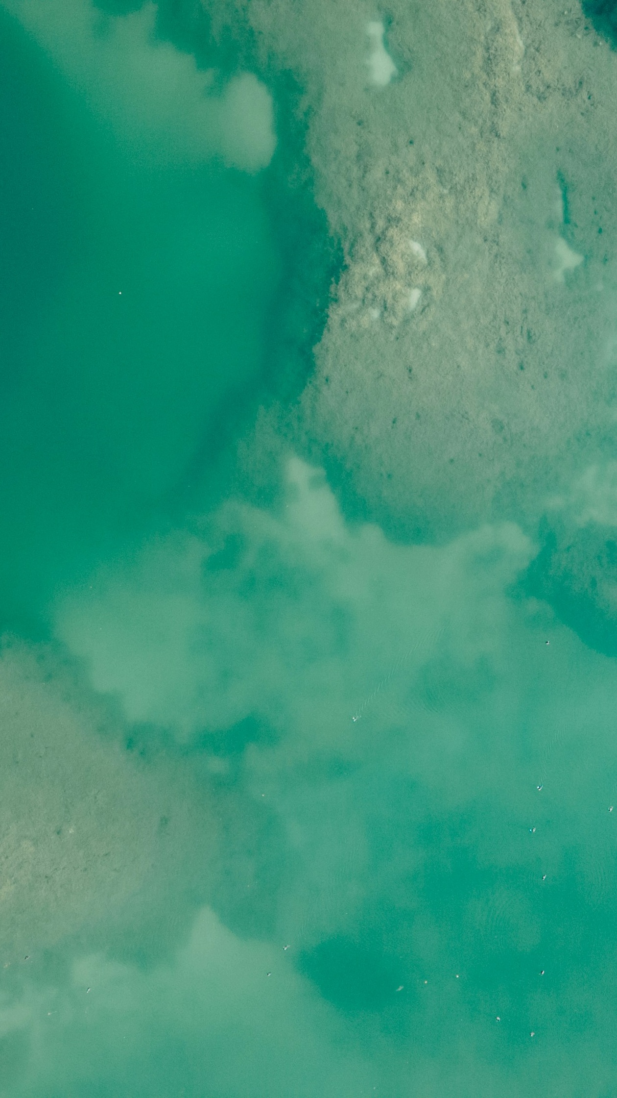 Wallpapers